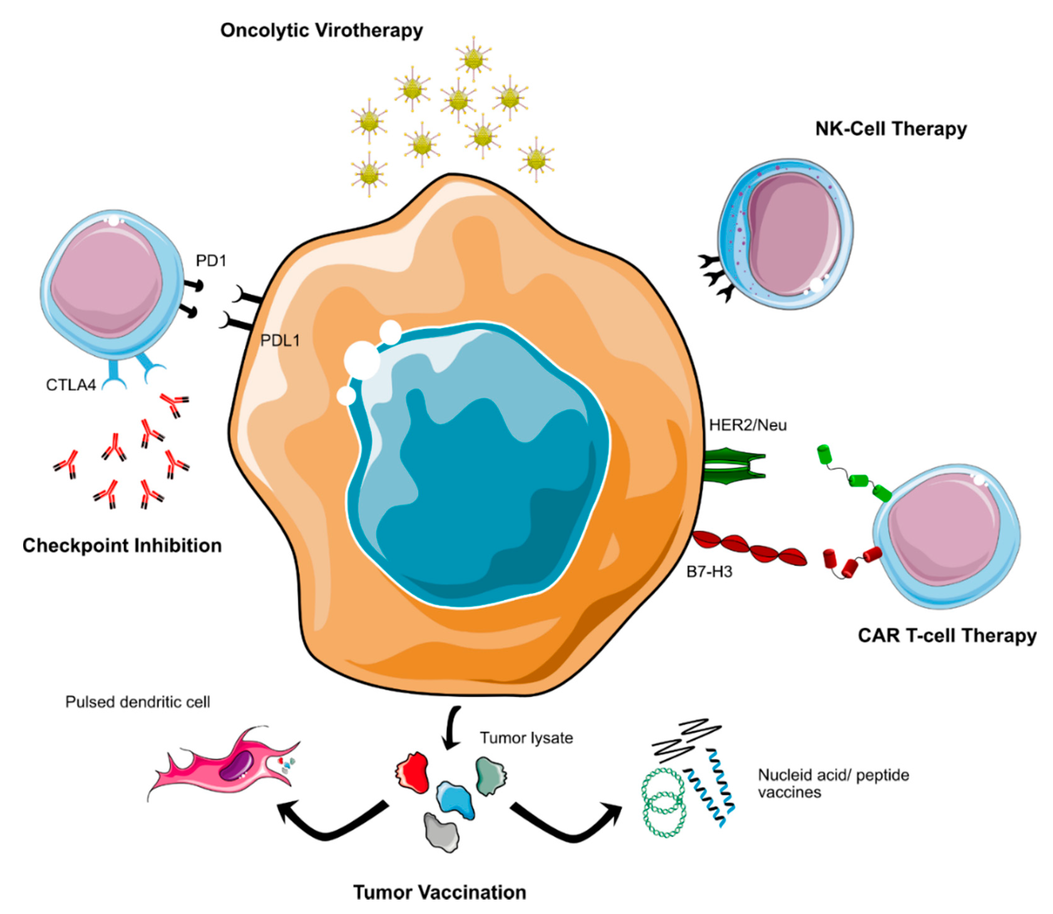 Cancers 14 00679 g002