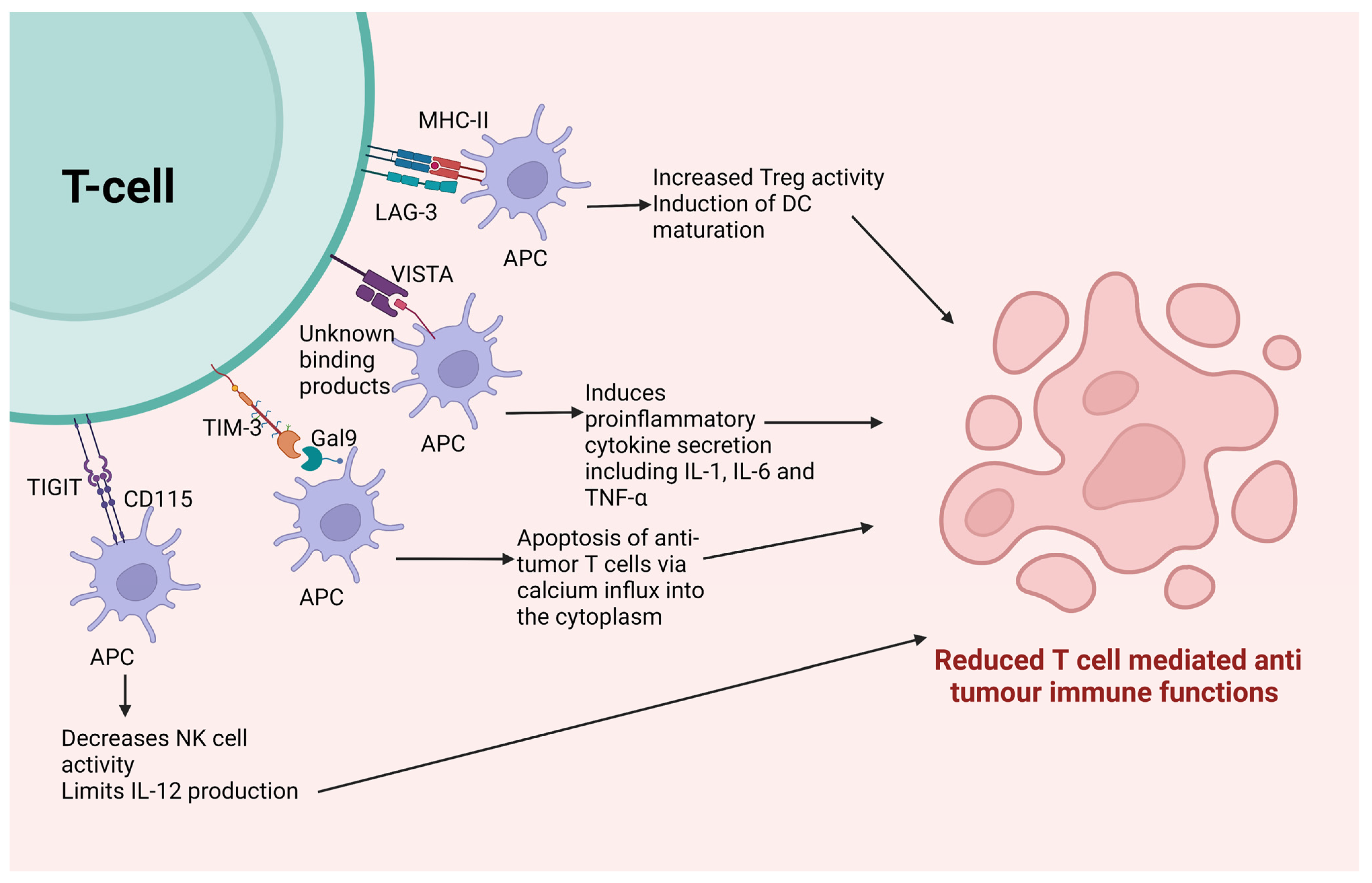 Cancers 15 00543 g002
