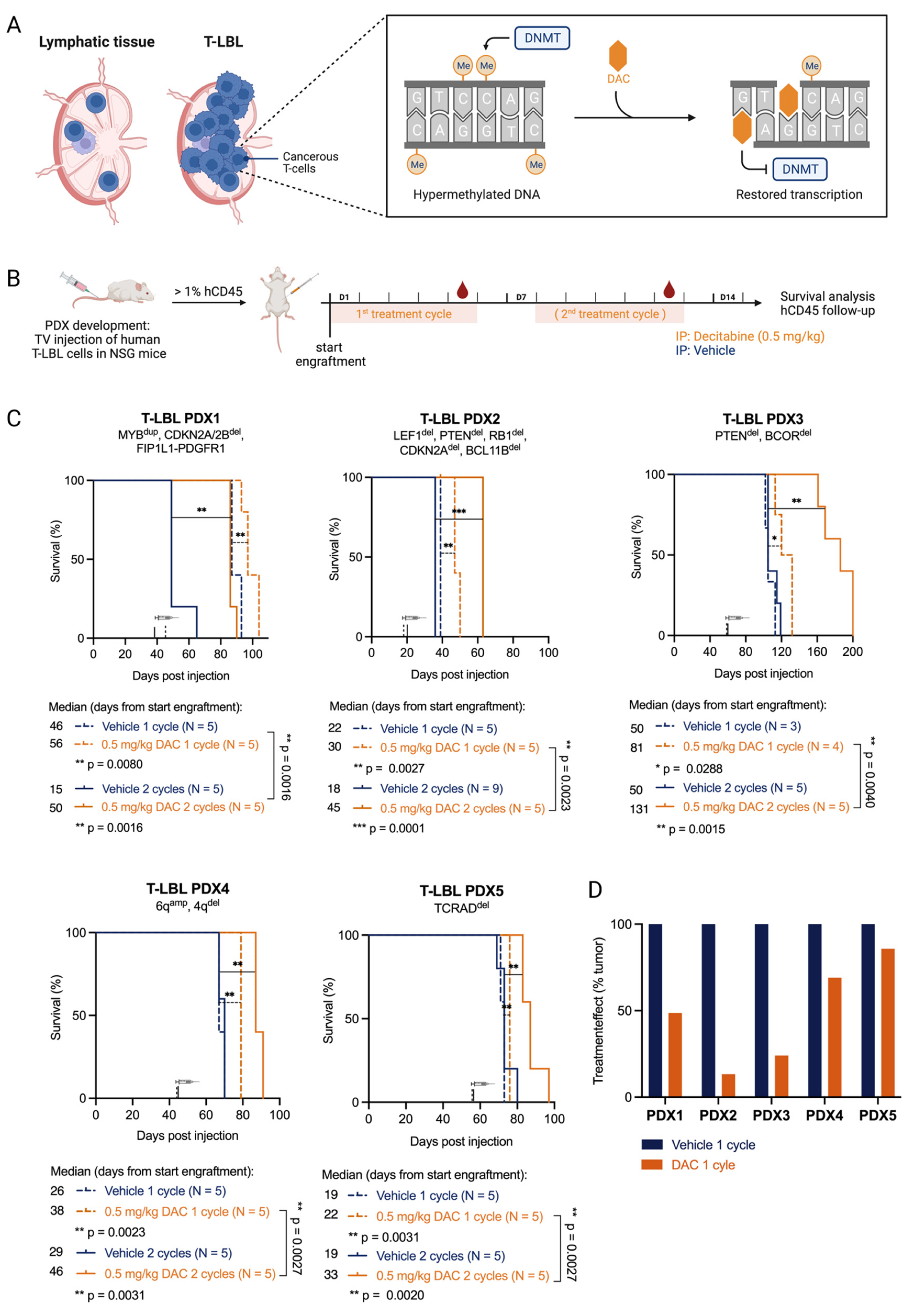 Cancers 15 00647 g001