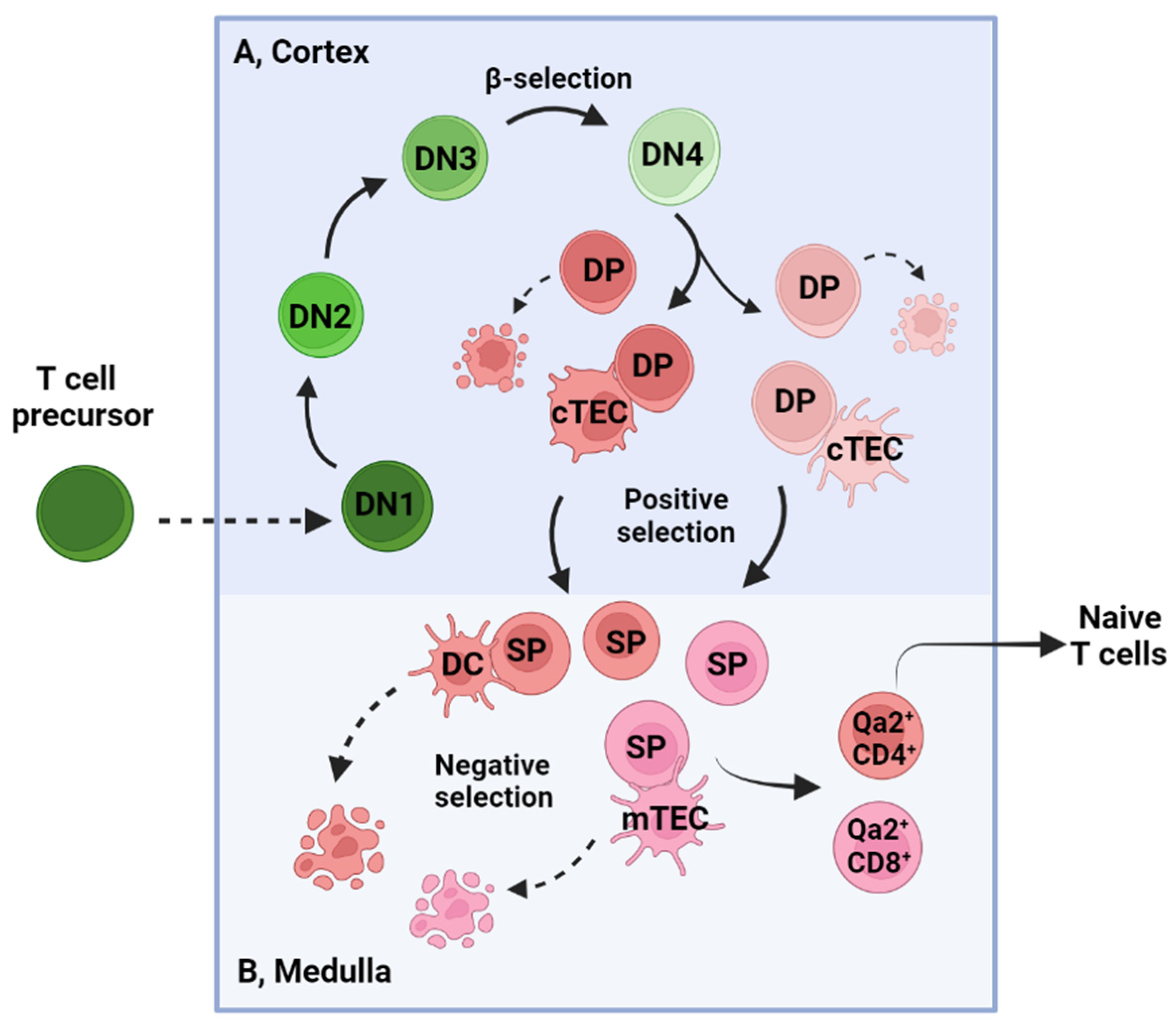 Cancers 15 00657 g001