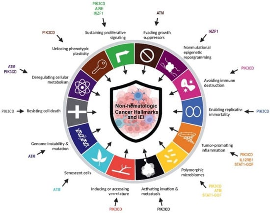 Cancers Free Full Text Clinical And Immunologic Characteristics Of