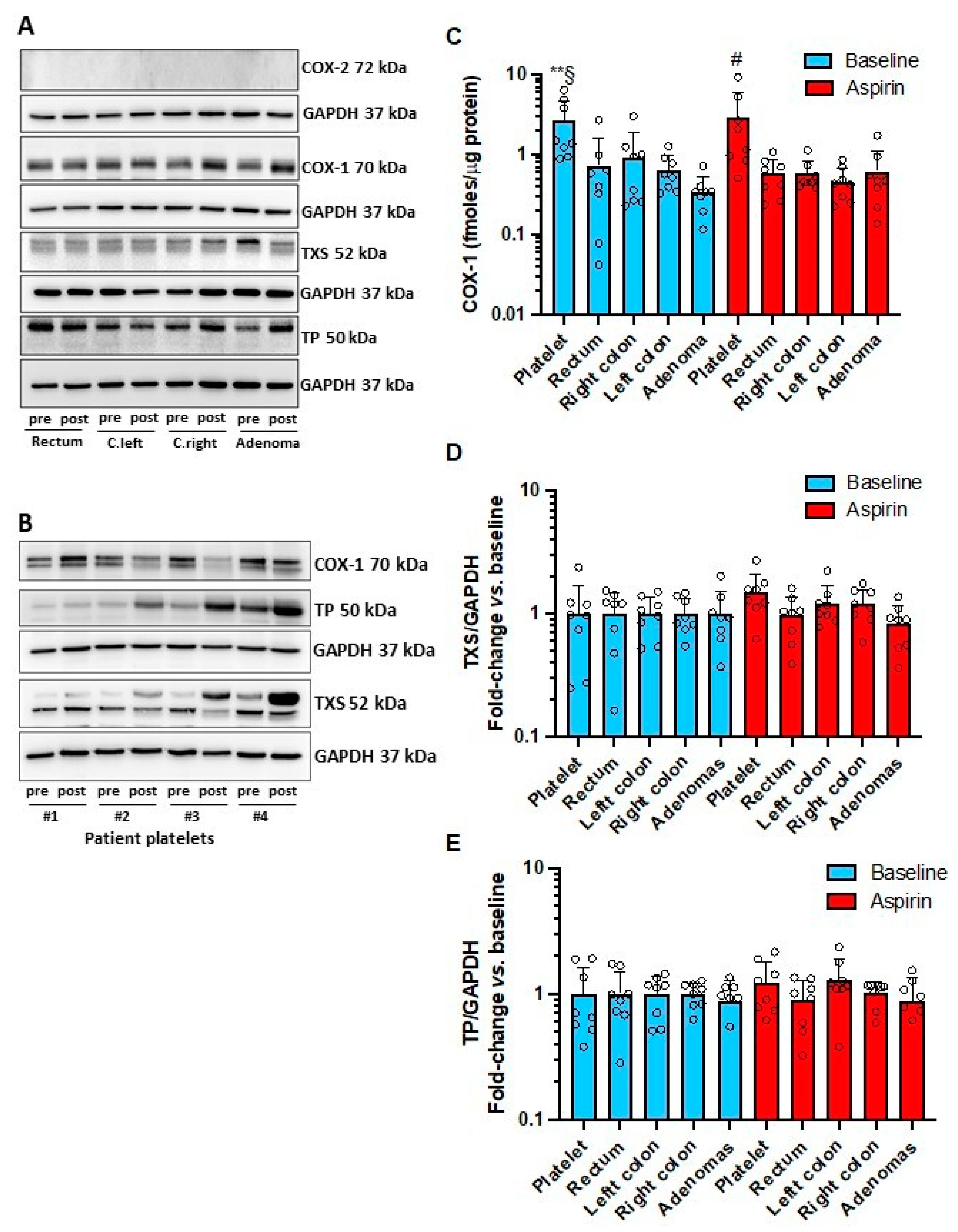 Cancers 15 02457 g004