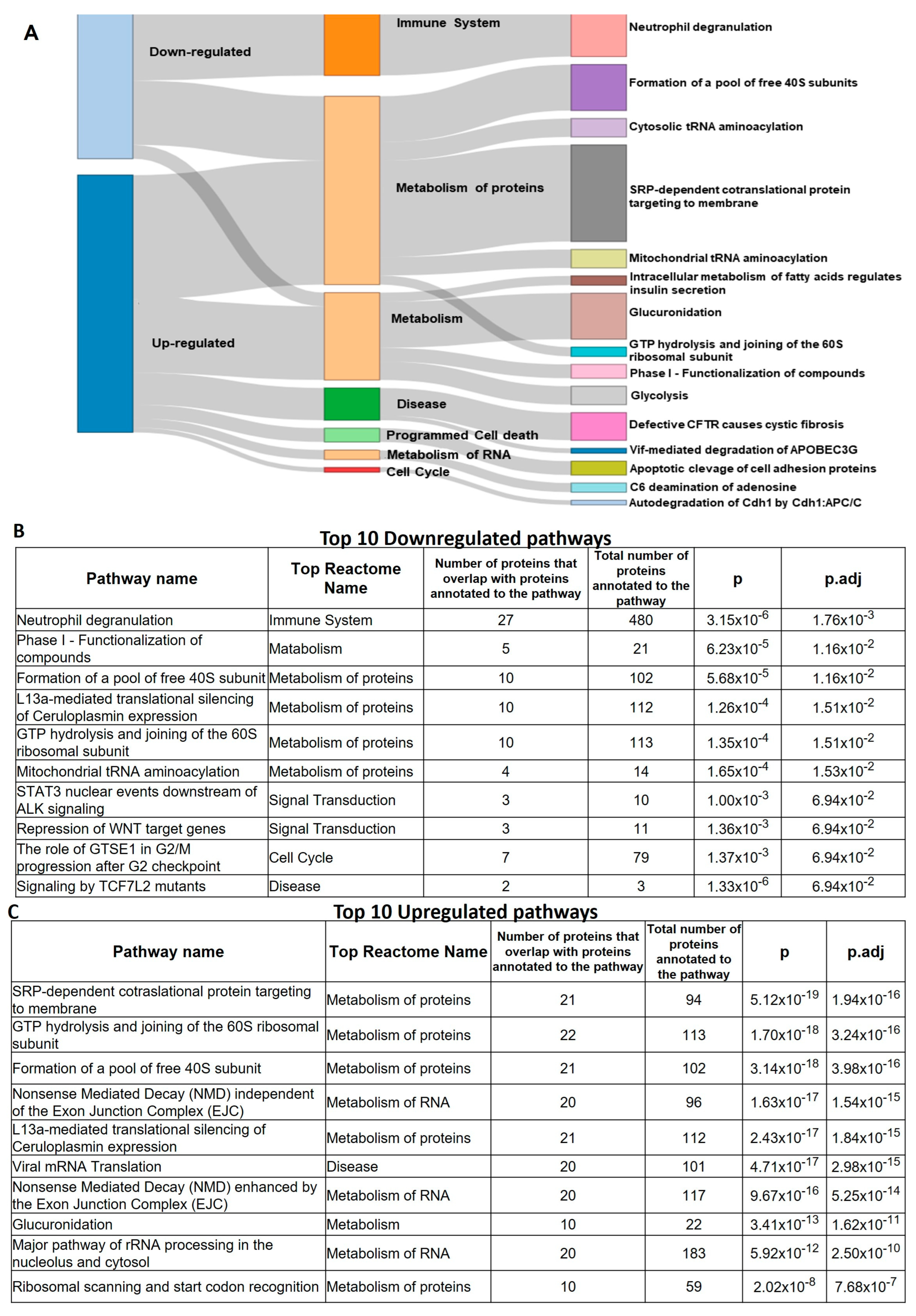 Cancers 15 02457 g008