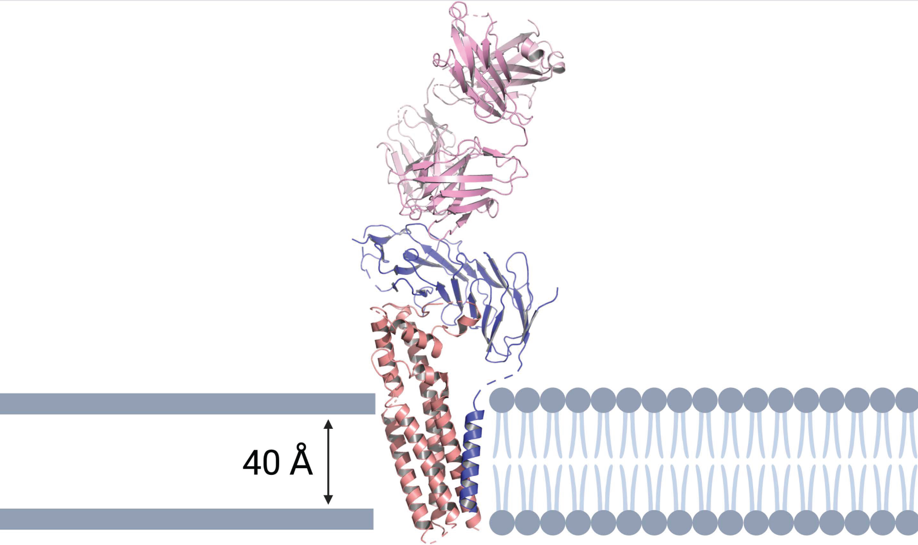 Cancers 15 02881 g003