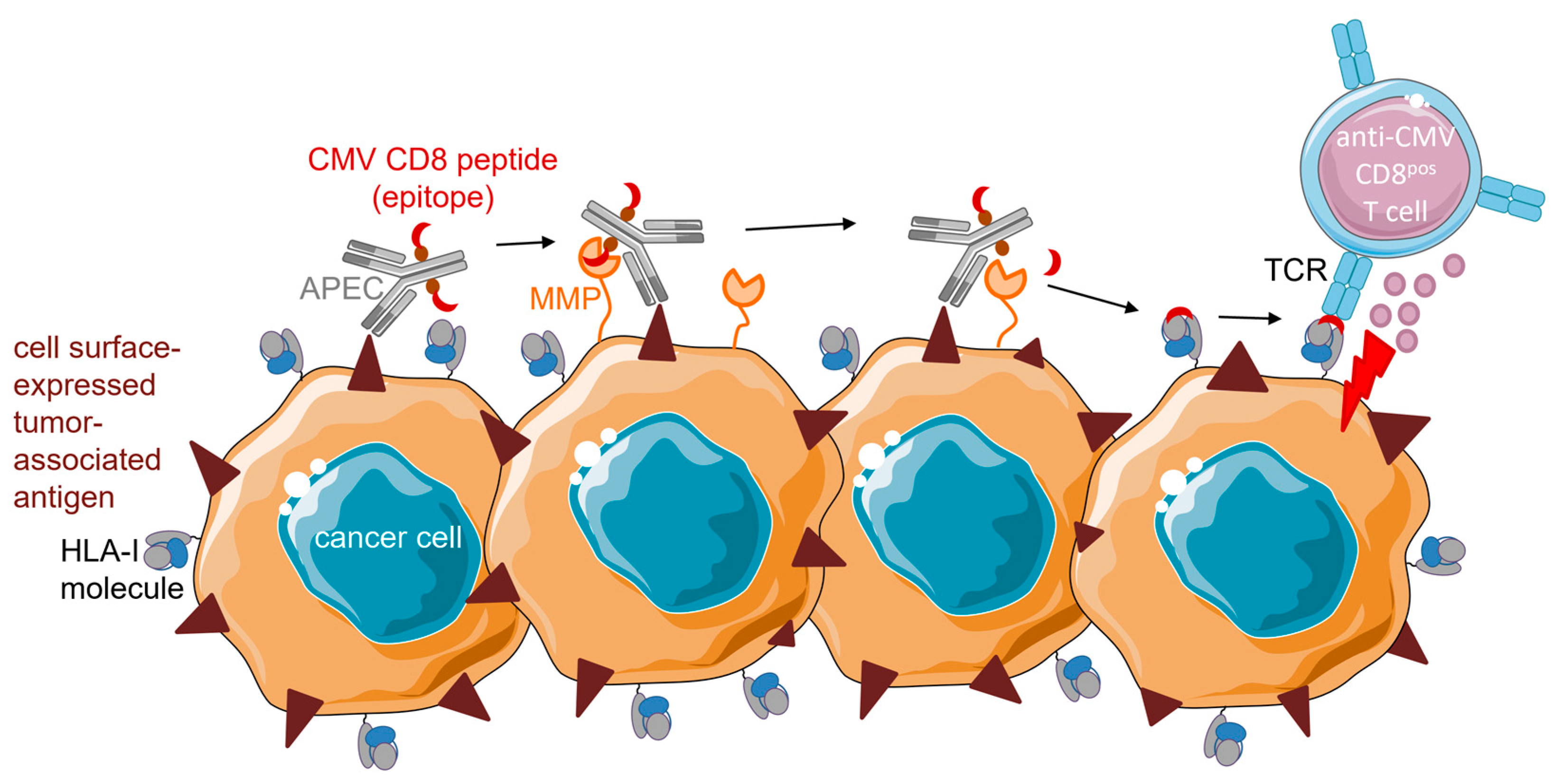 Cancers 15 03767 g002