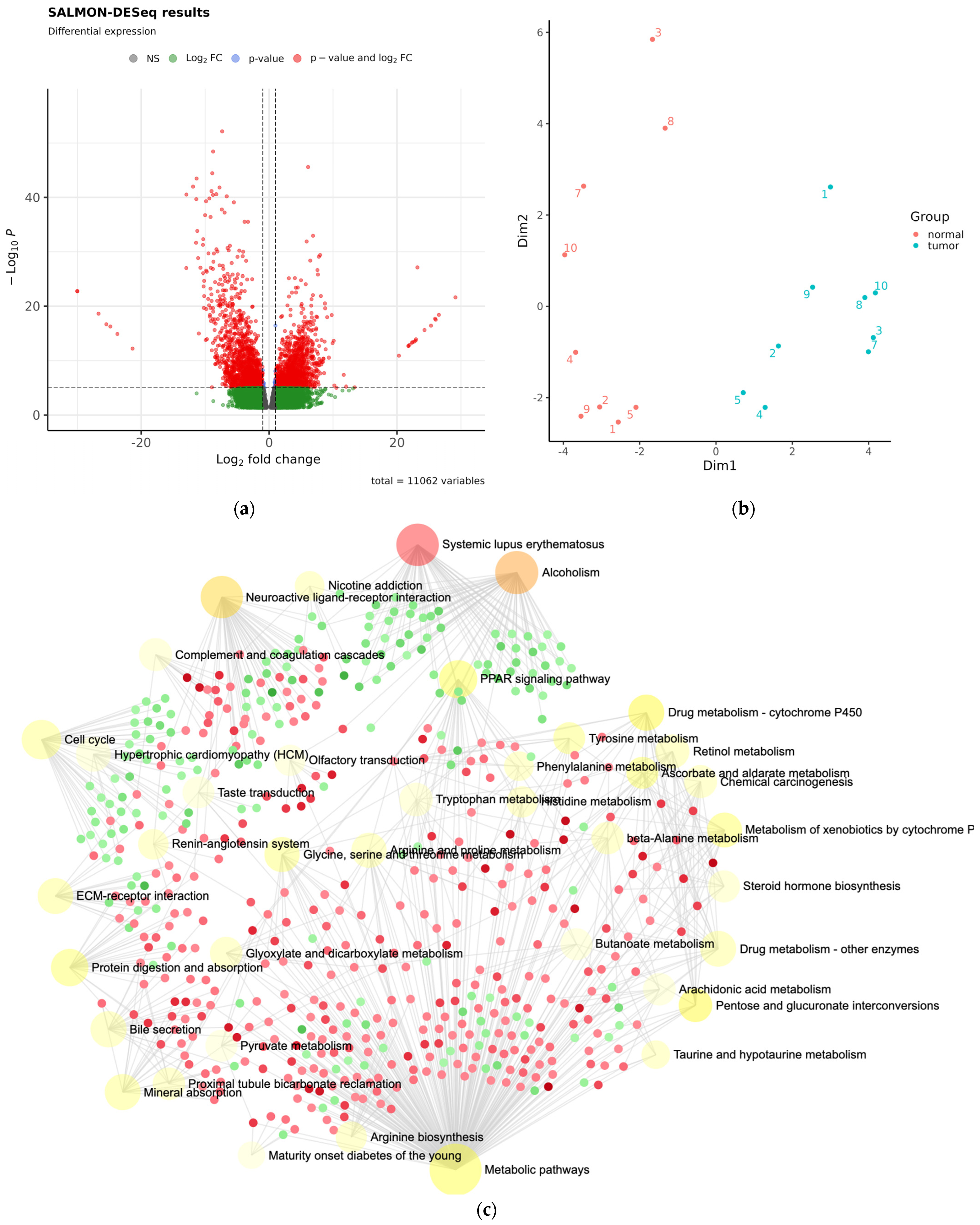 Cancers 15 03846 g004