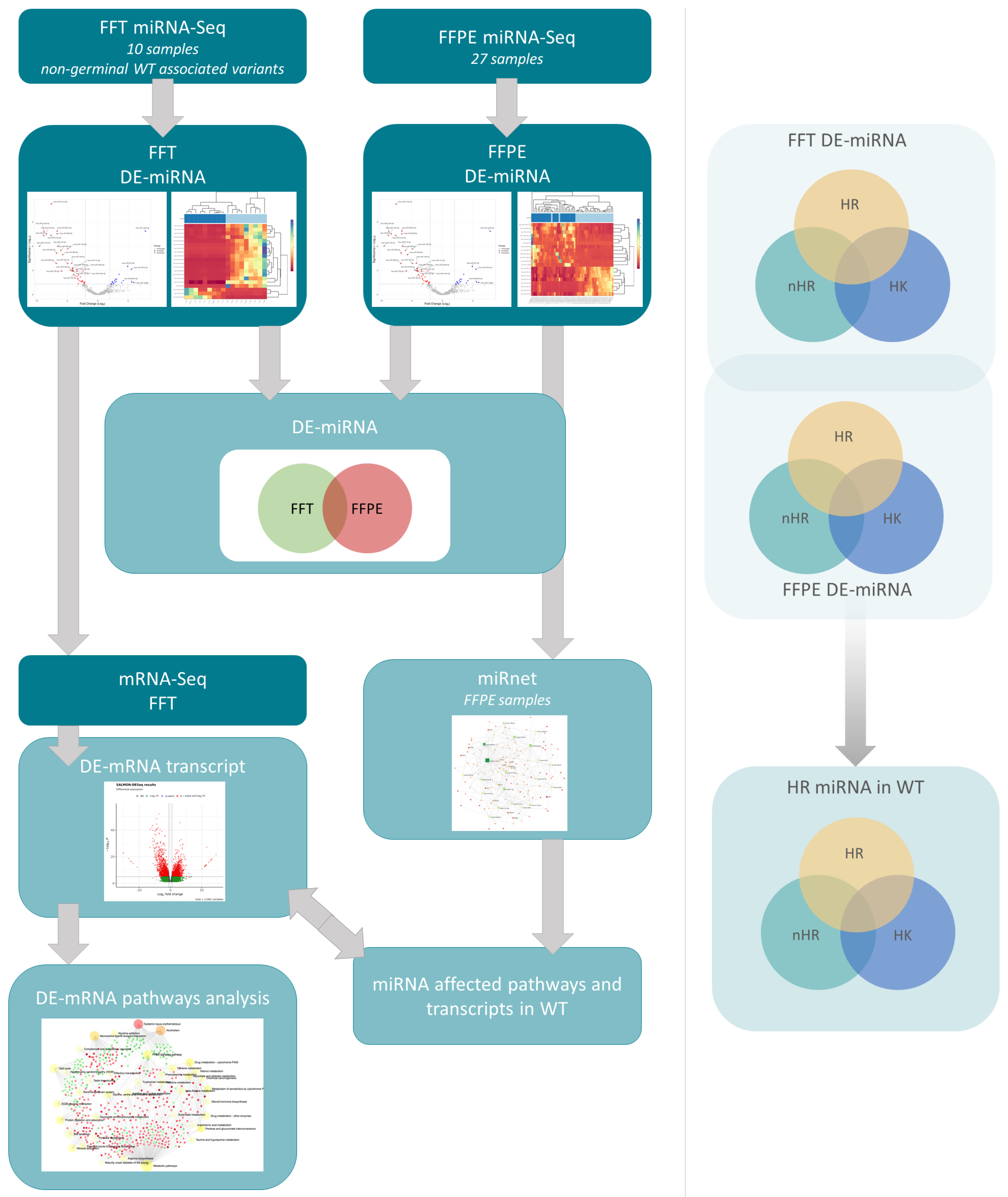 Cancers 15 03846 g005