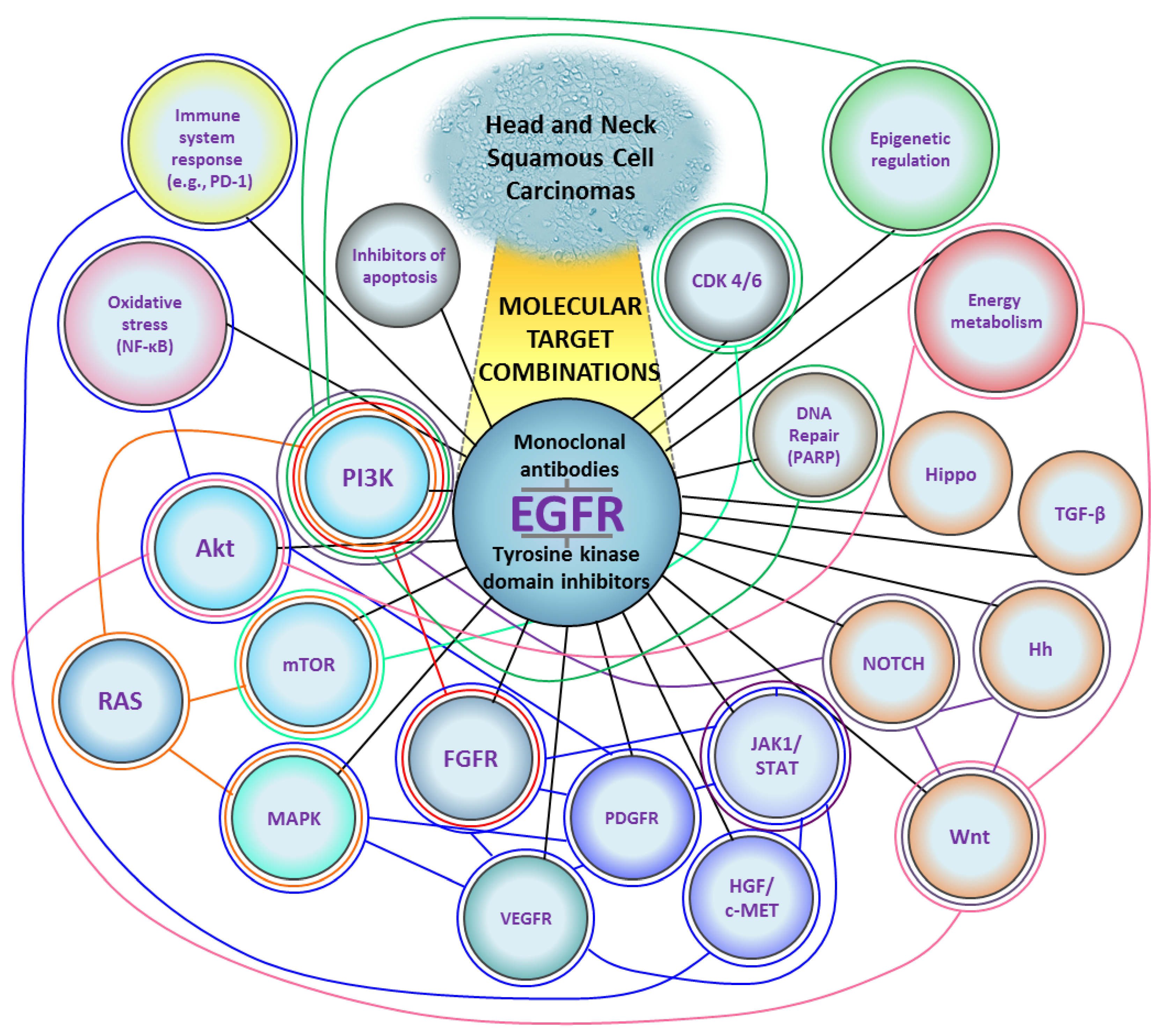 Cancers 15 04247 g002