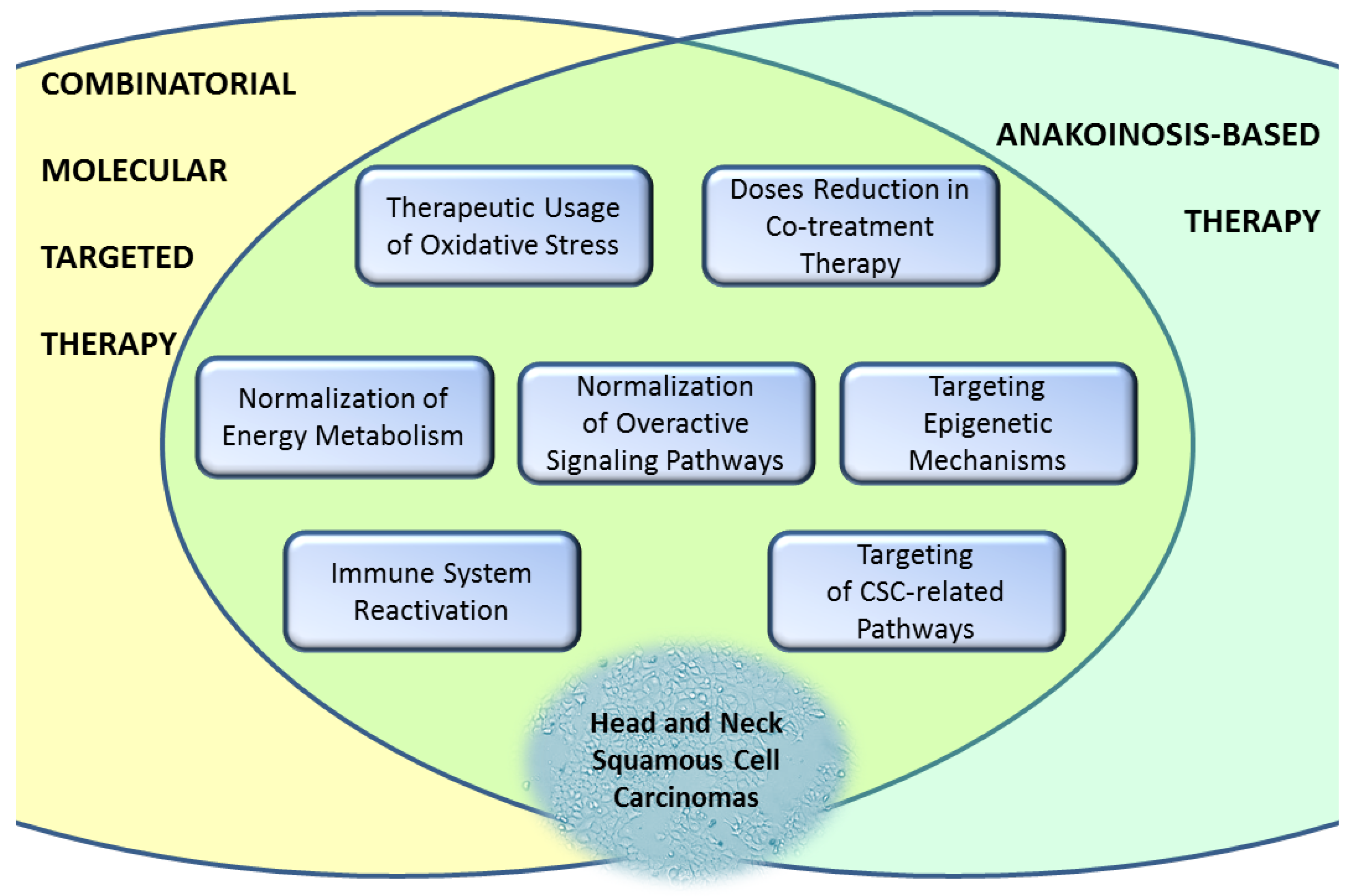 Cancers 15 04247 g003