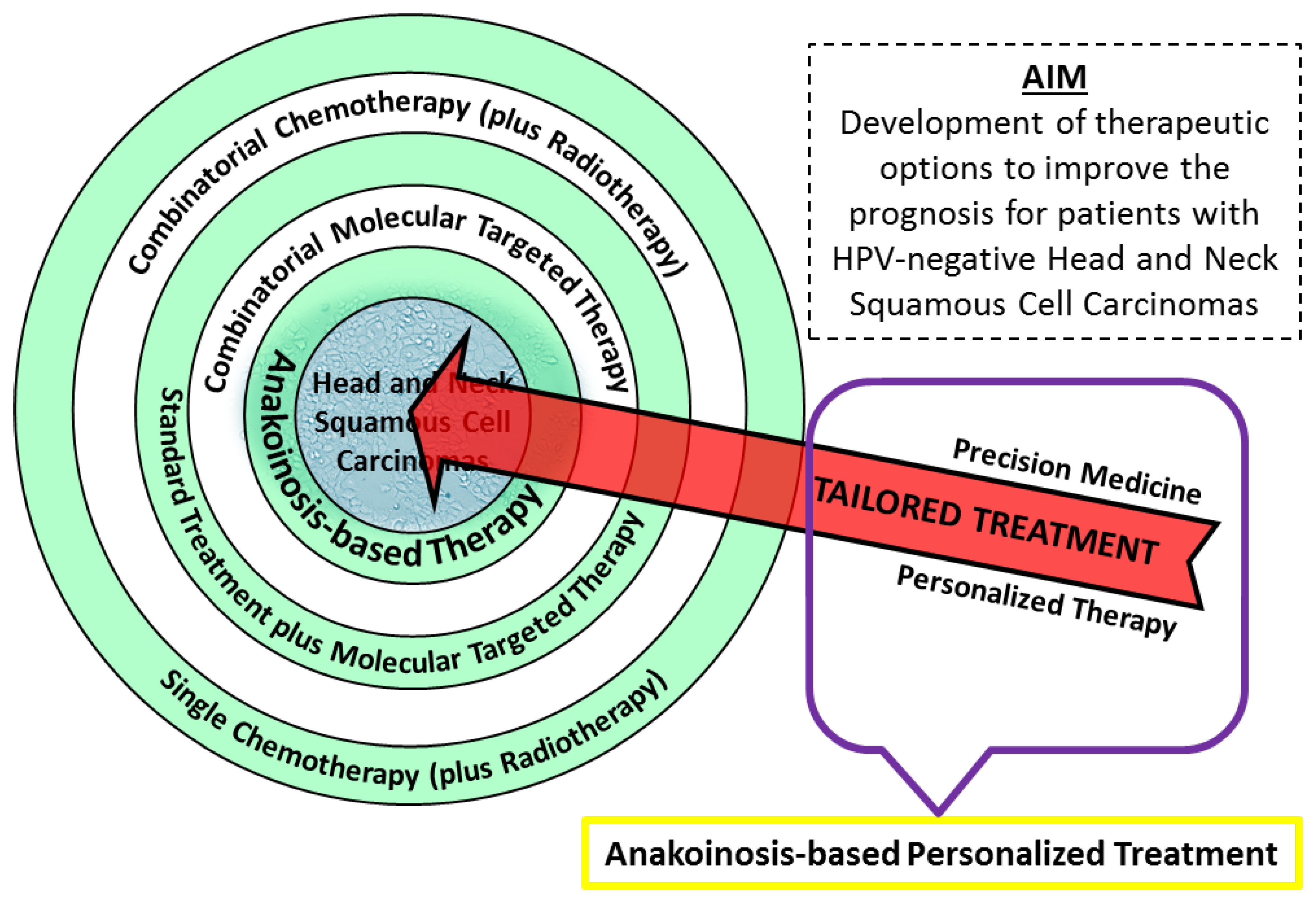 Cancers 15 04247 g004