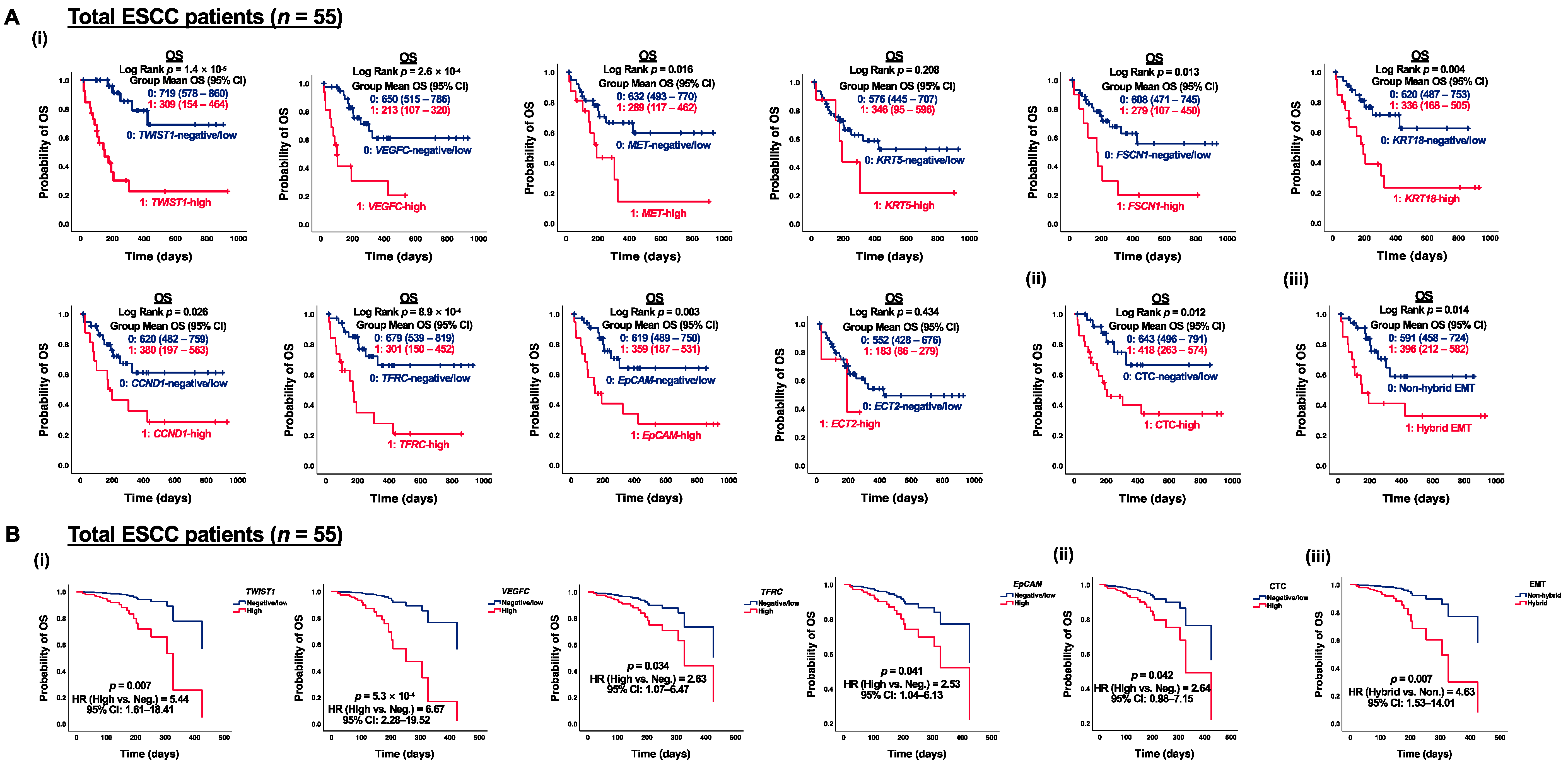 Cancers 15 05329 g005