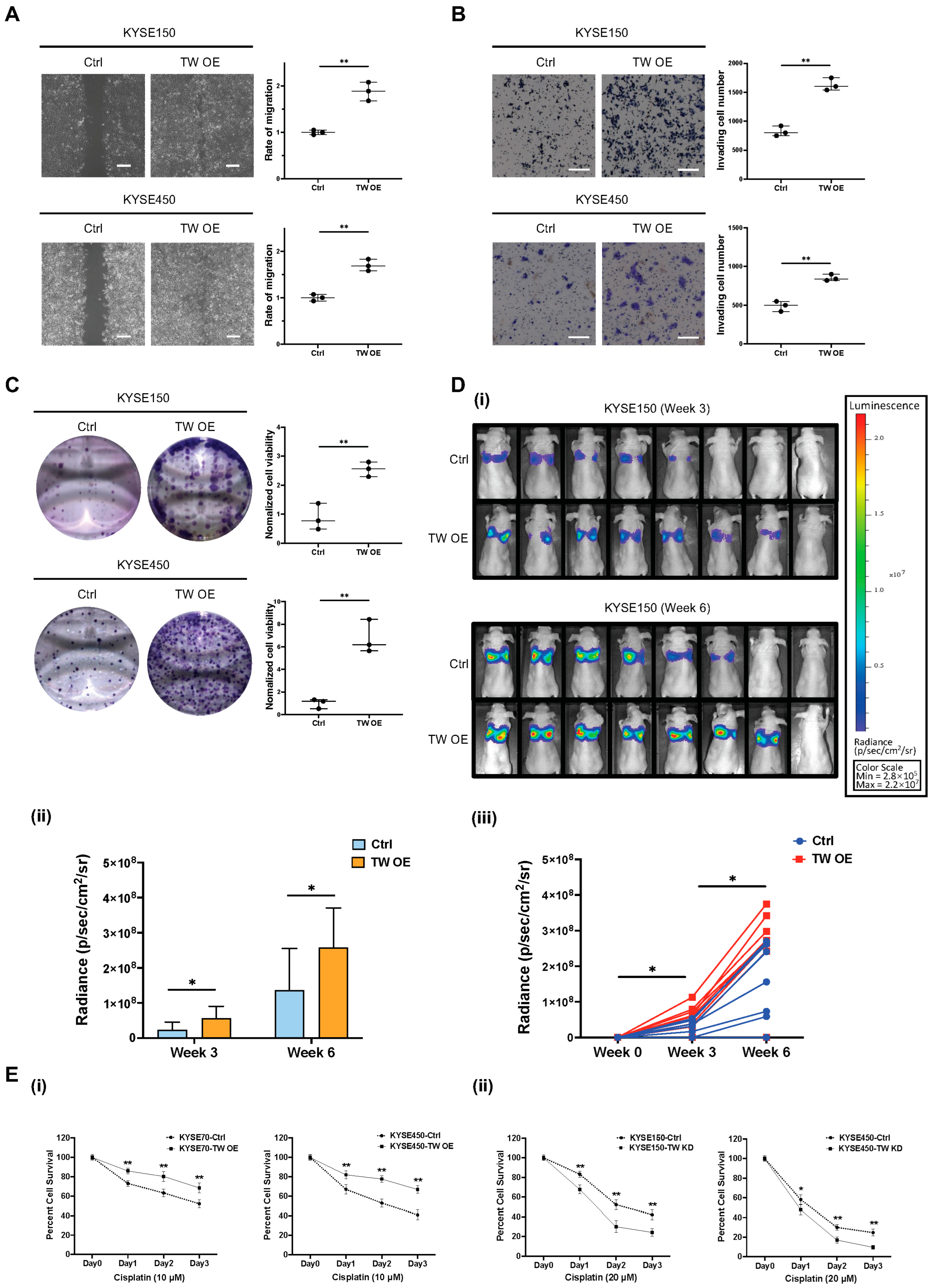 Cancers 15 05329 g006