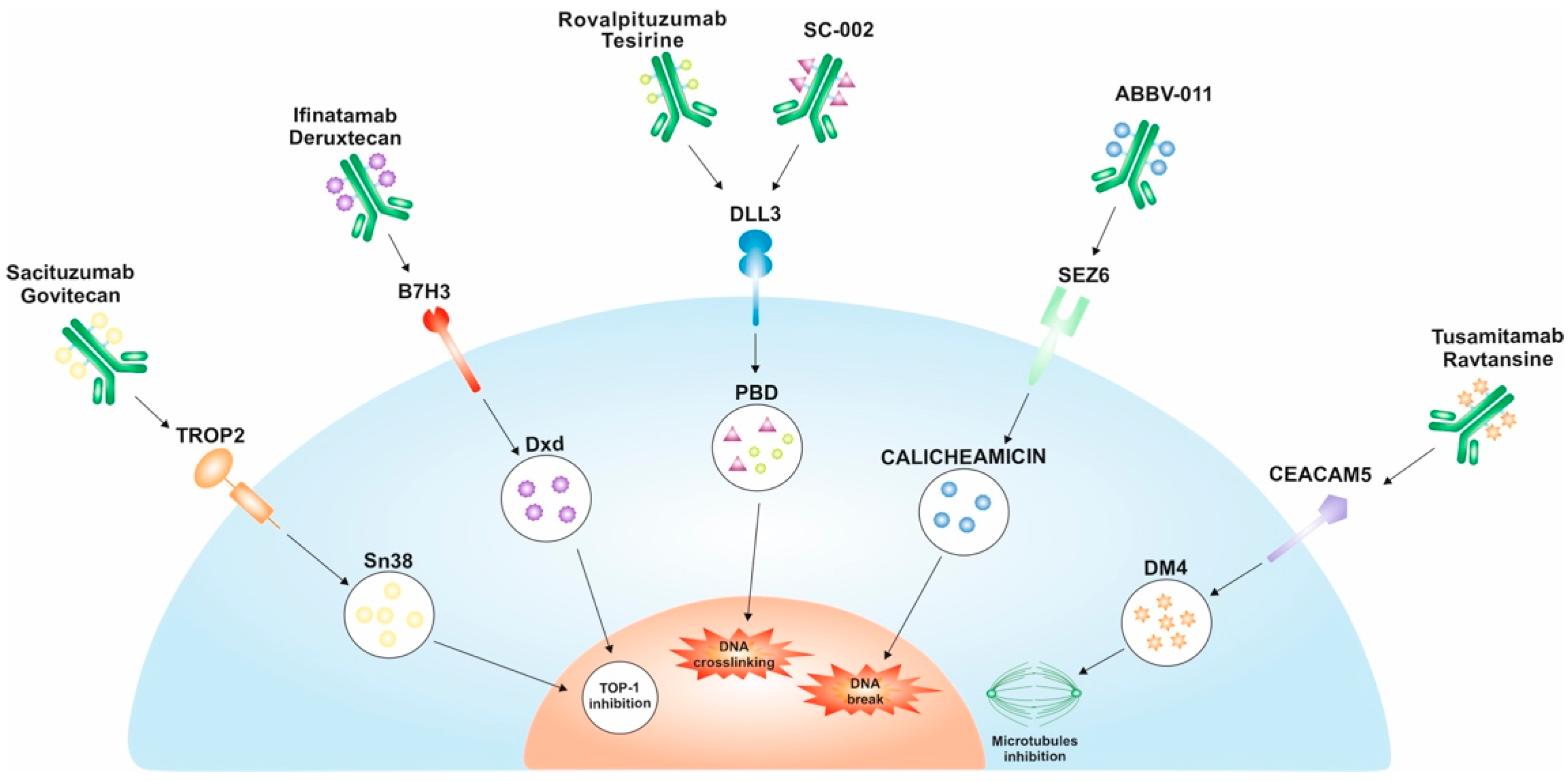 Cancers 15 05368 g002