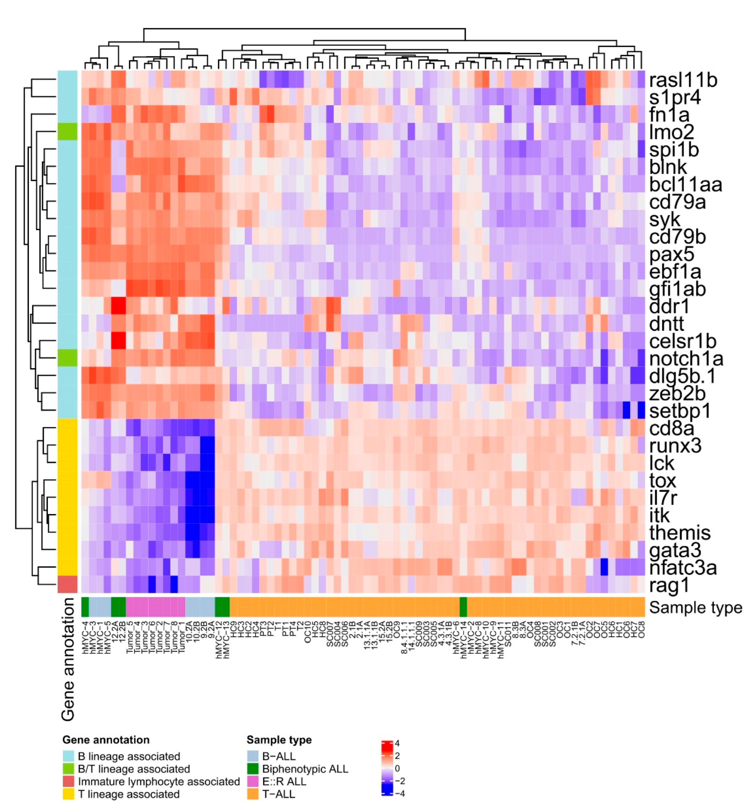 Cancers 15 05821 g005
