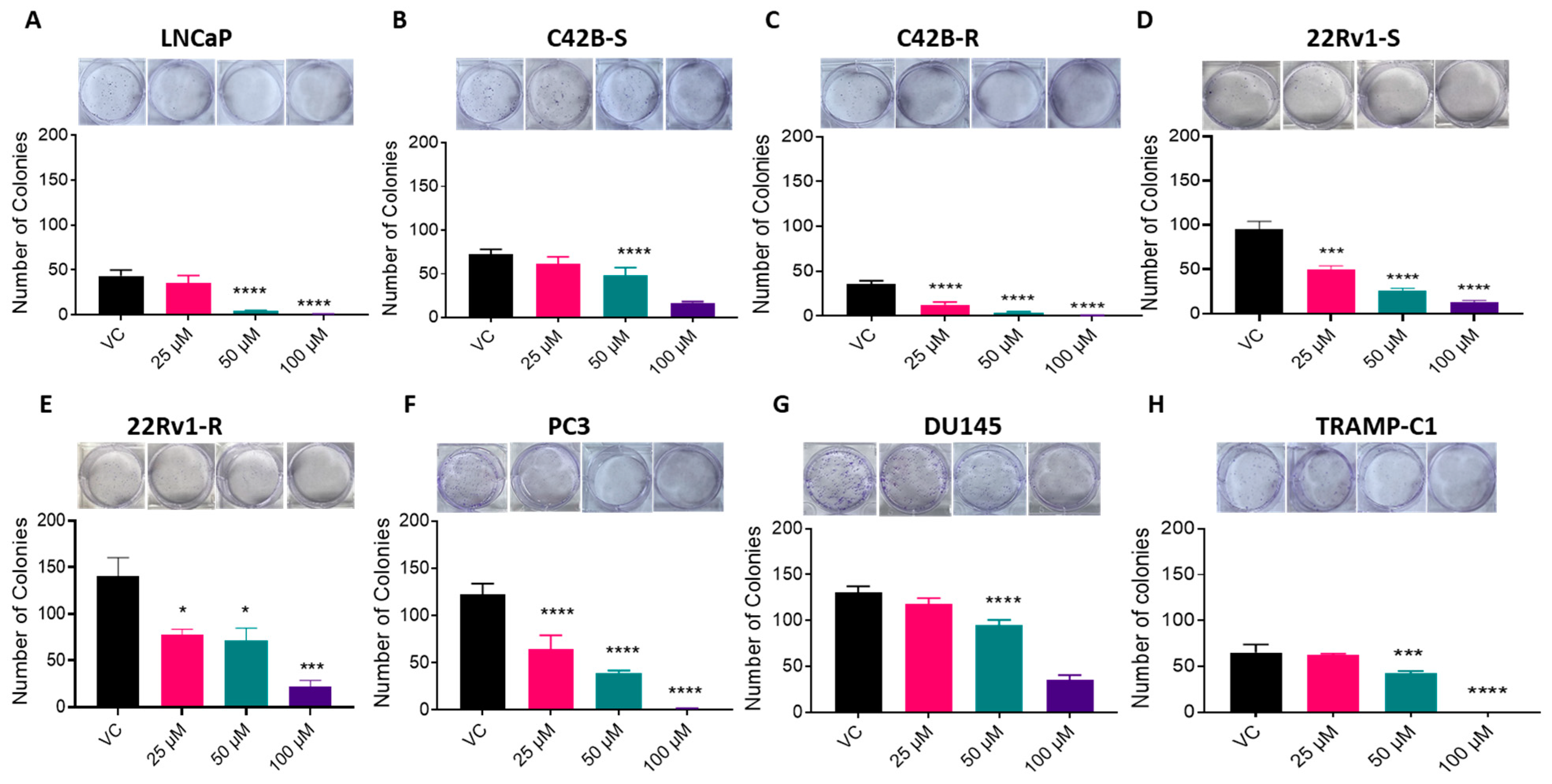 Cancers 16 00010 g004