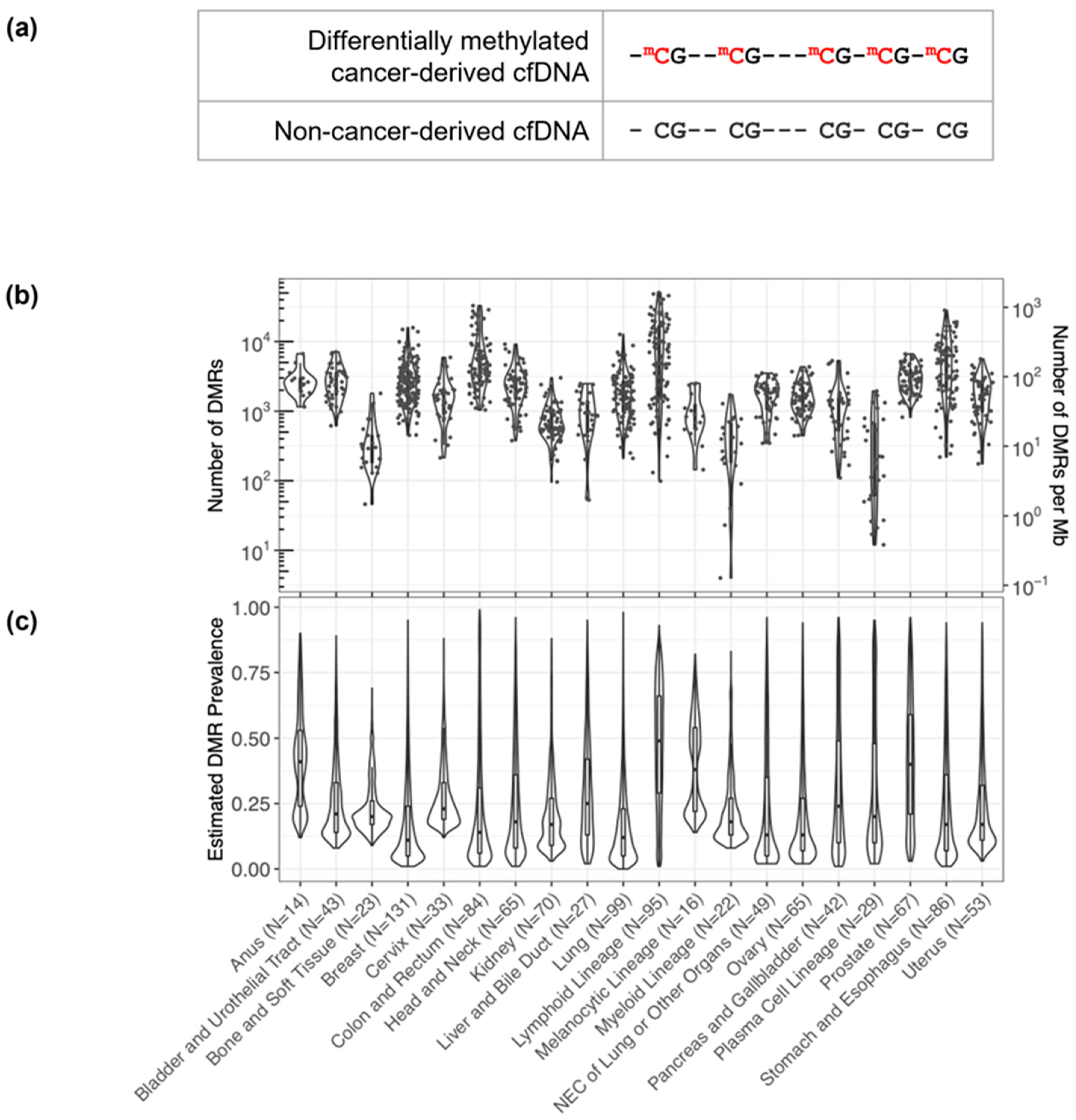 Cancers 16 00082 g001