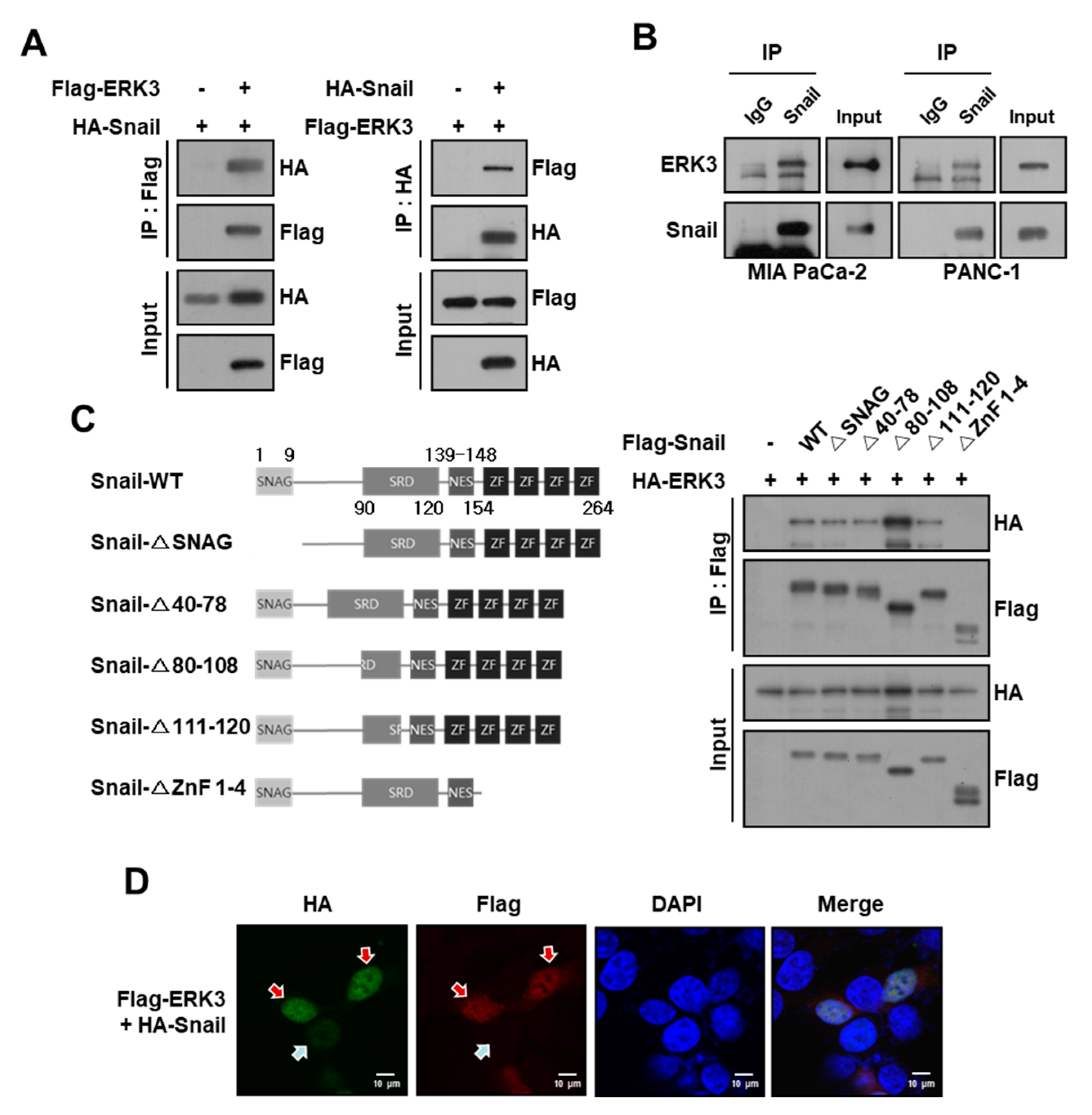 Cancers 16 00105 g001