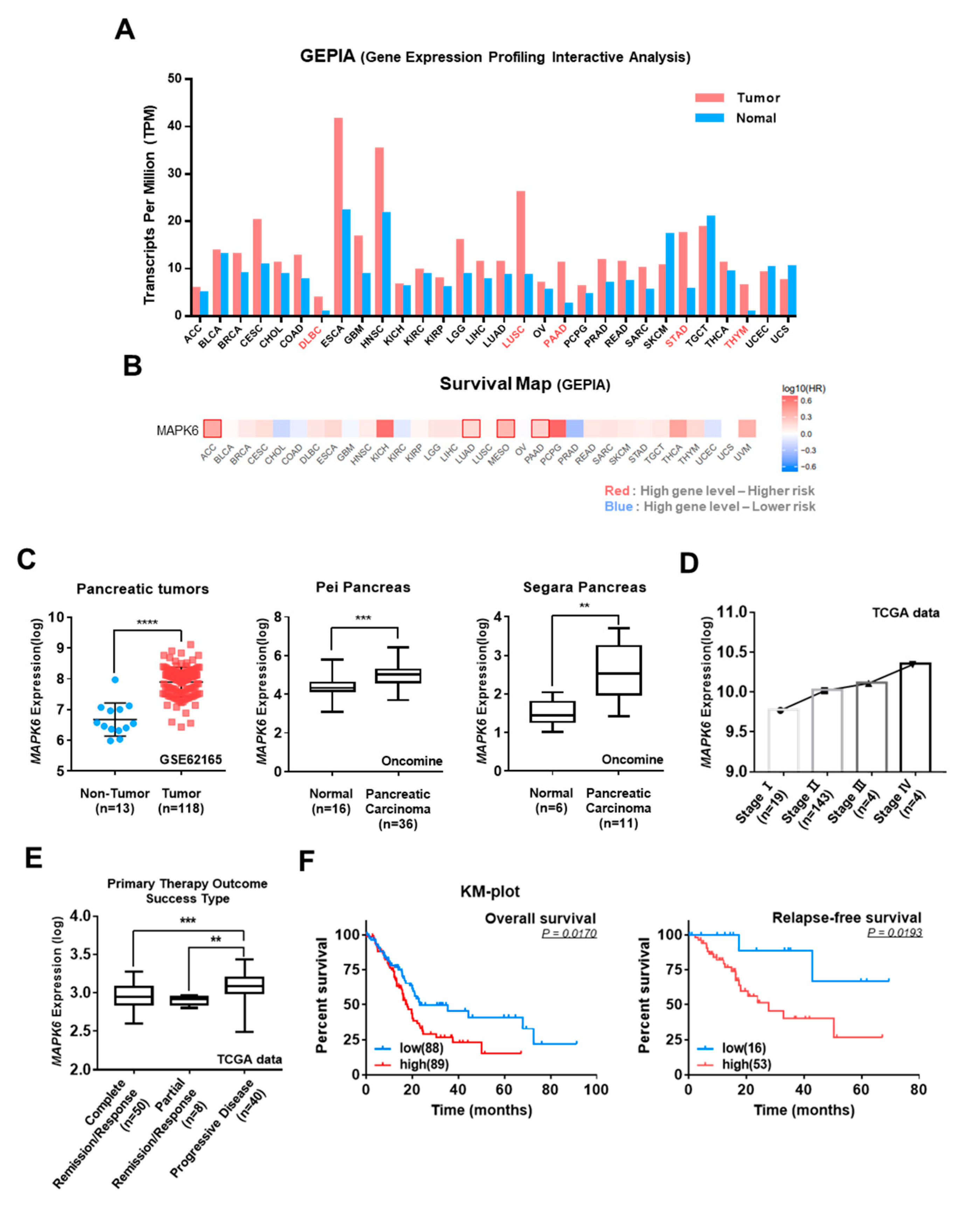 Cancers 16 00105 g002