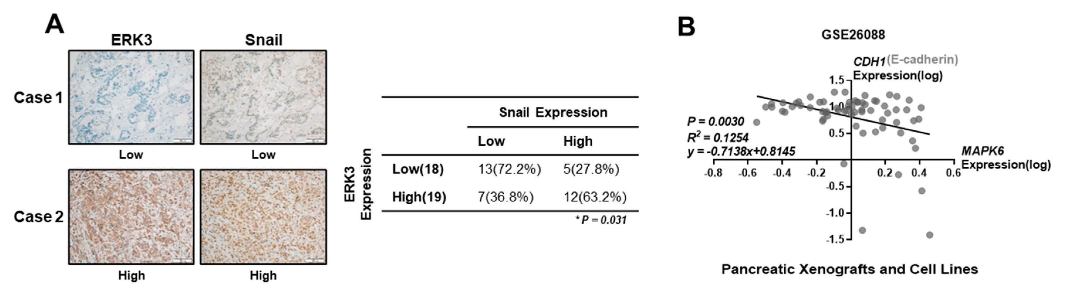 Cancers 16 00105 g003