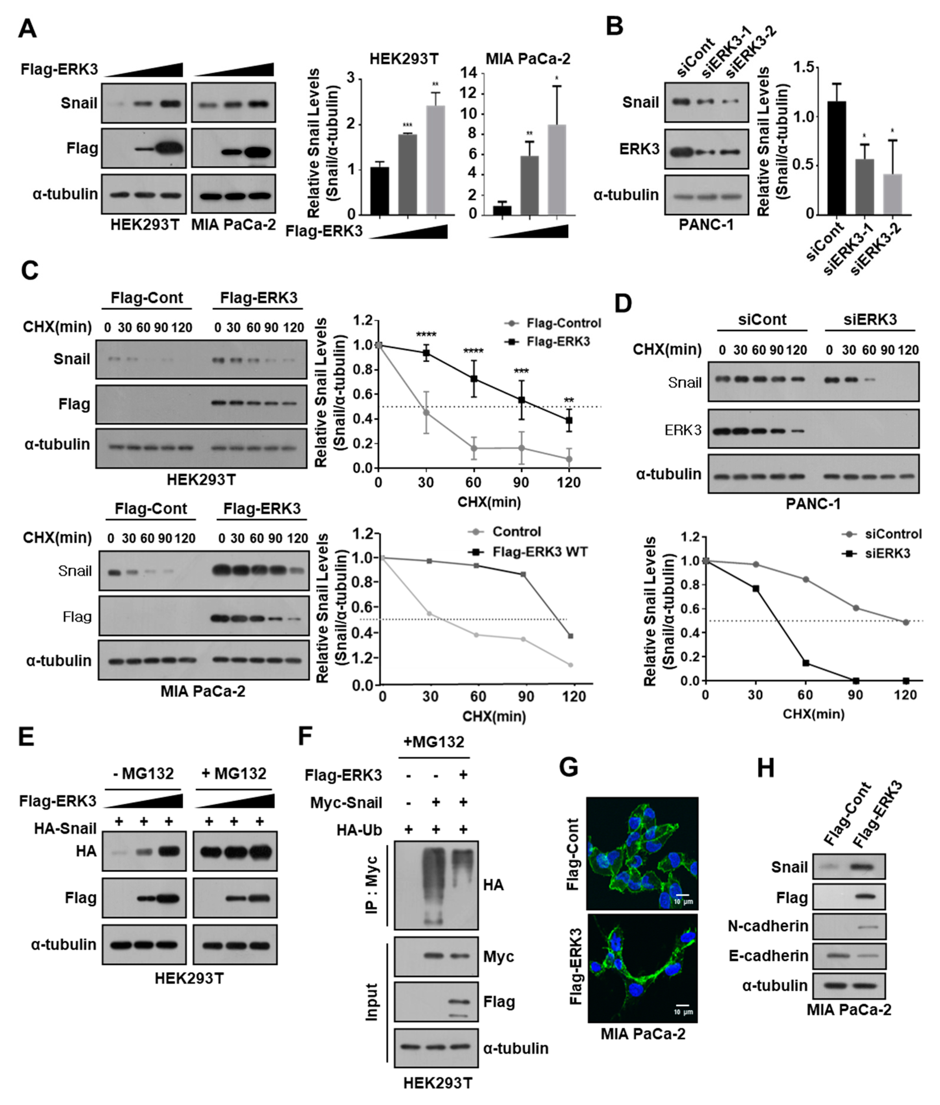 Cancers 16 00105 g004