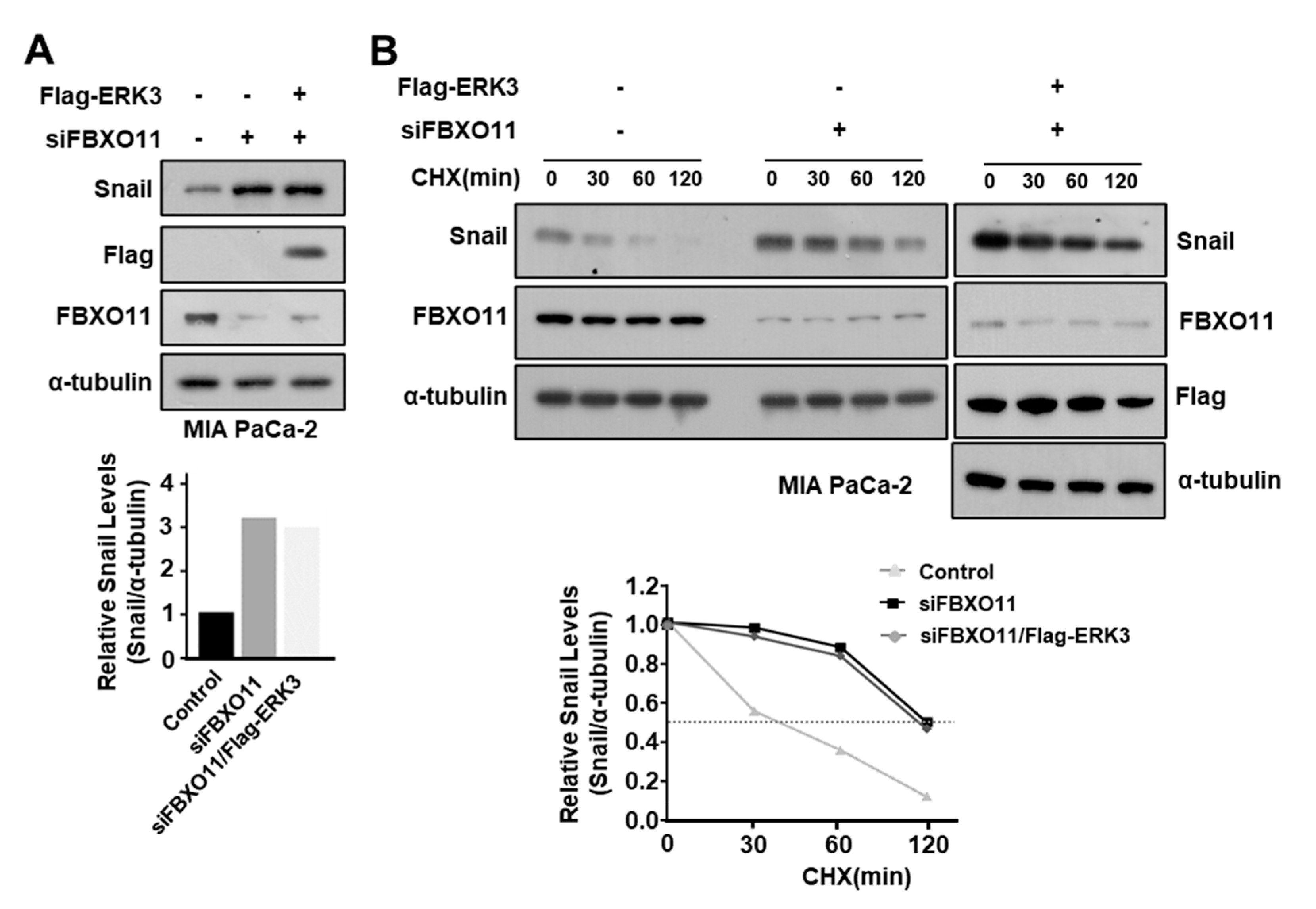Cancers 16 00105 g007