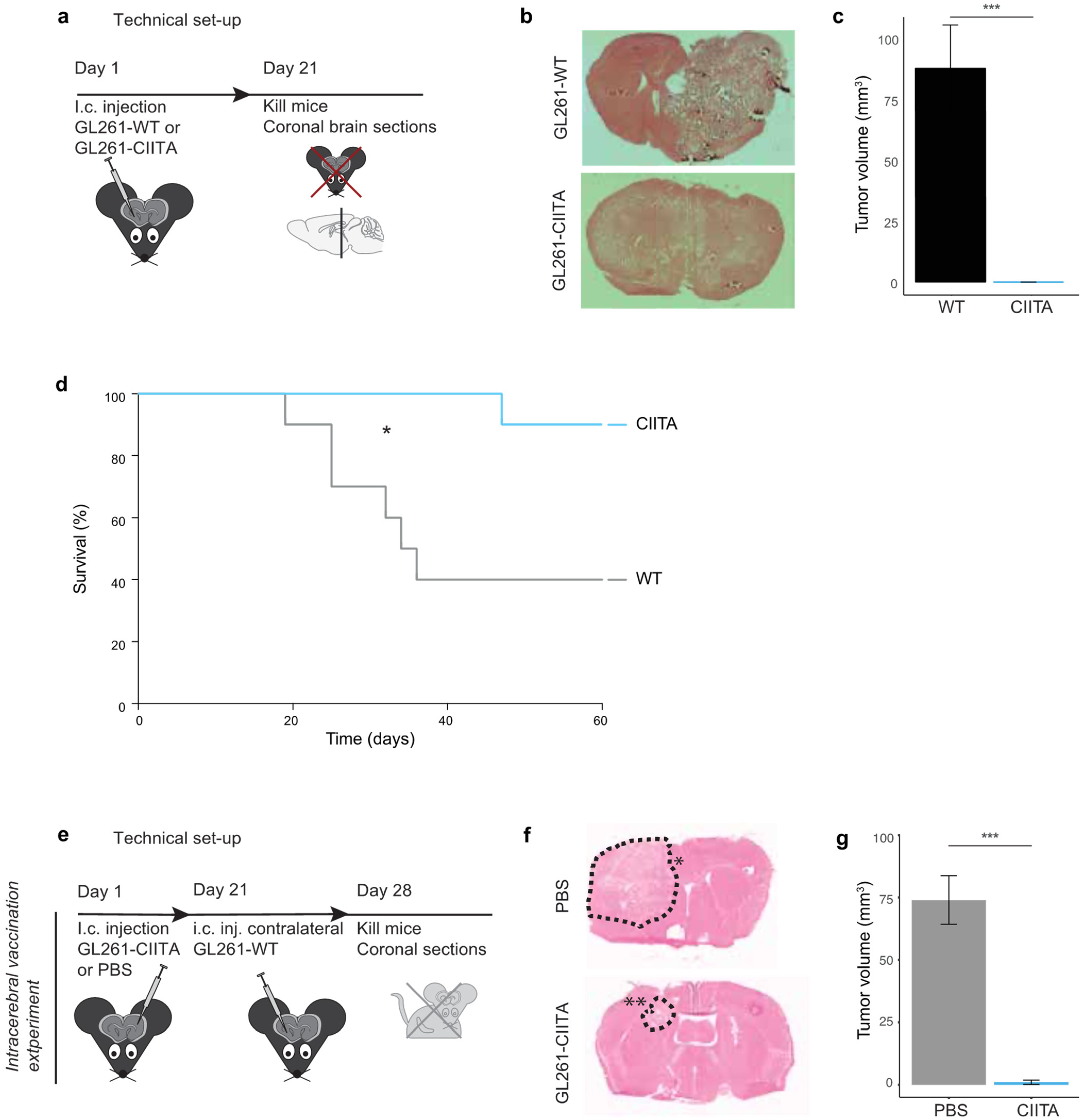 Cancers 16 00193 g001