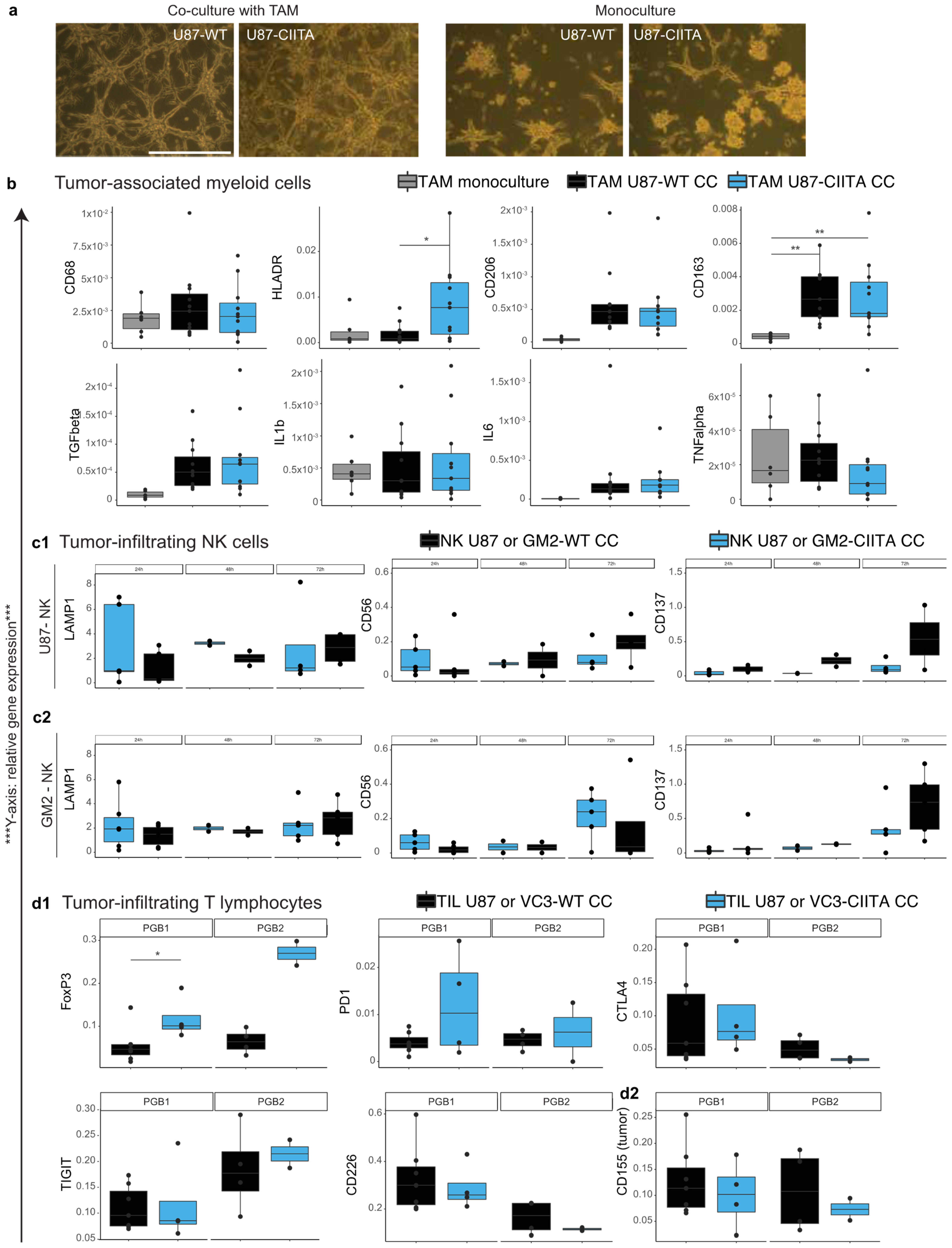 Cancers 16 00193 g003