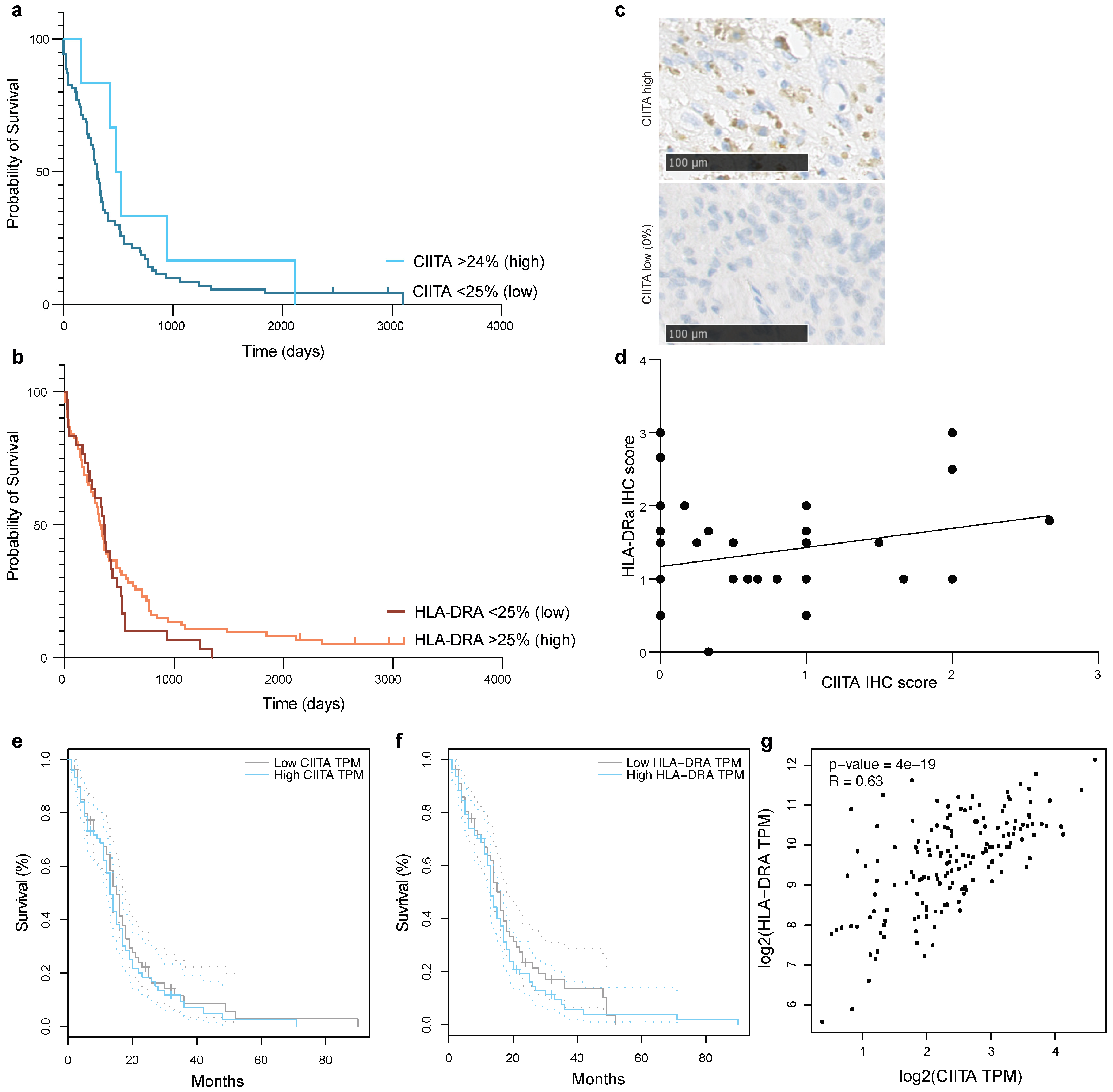 Cancers 16 00193 g004