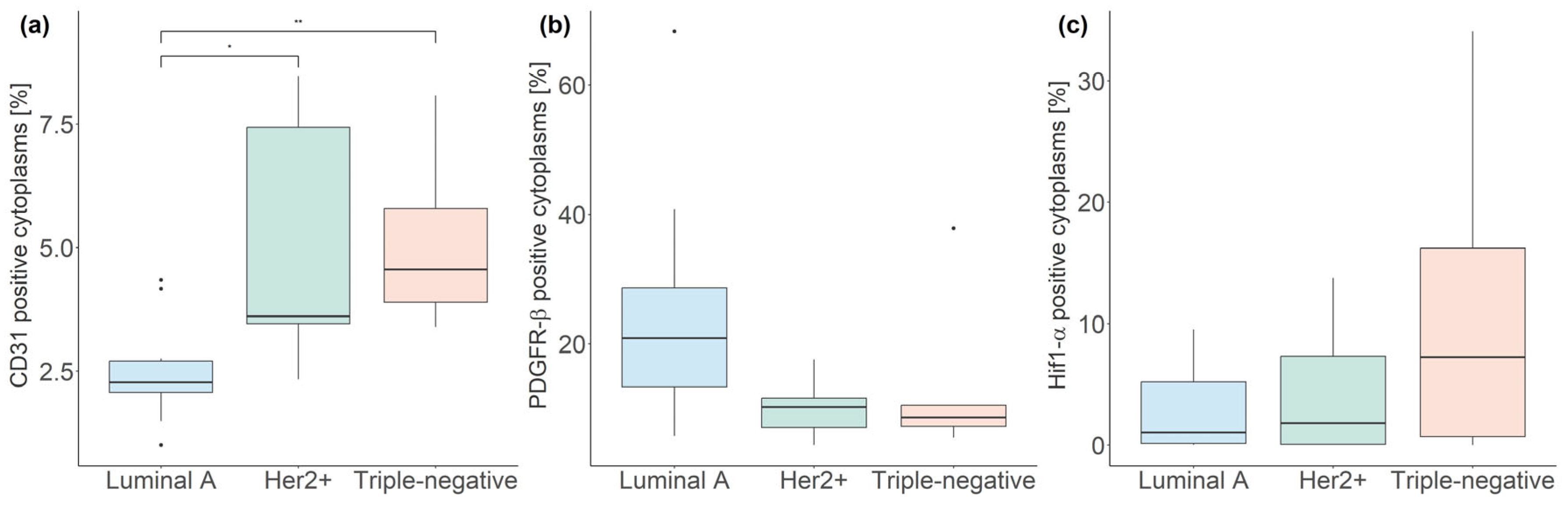 Cancers 16 00375 g004