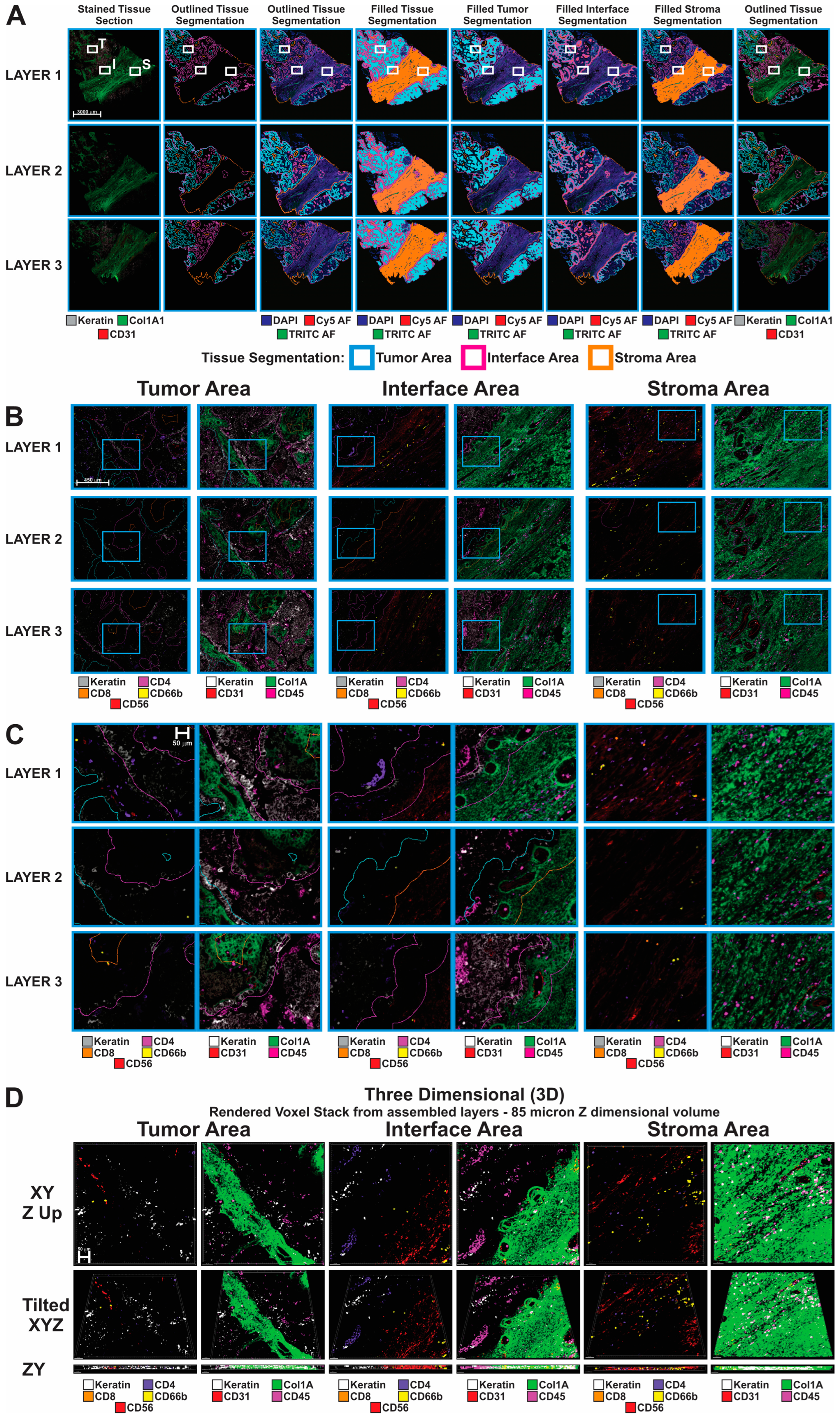 Cancers 16 00846 g002