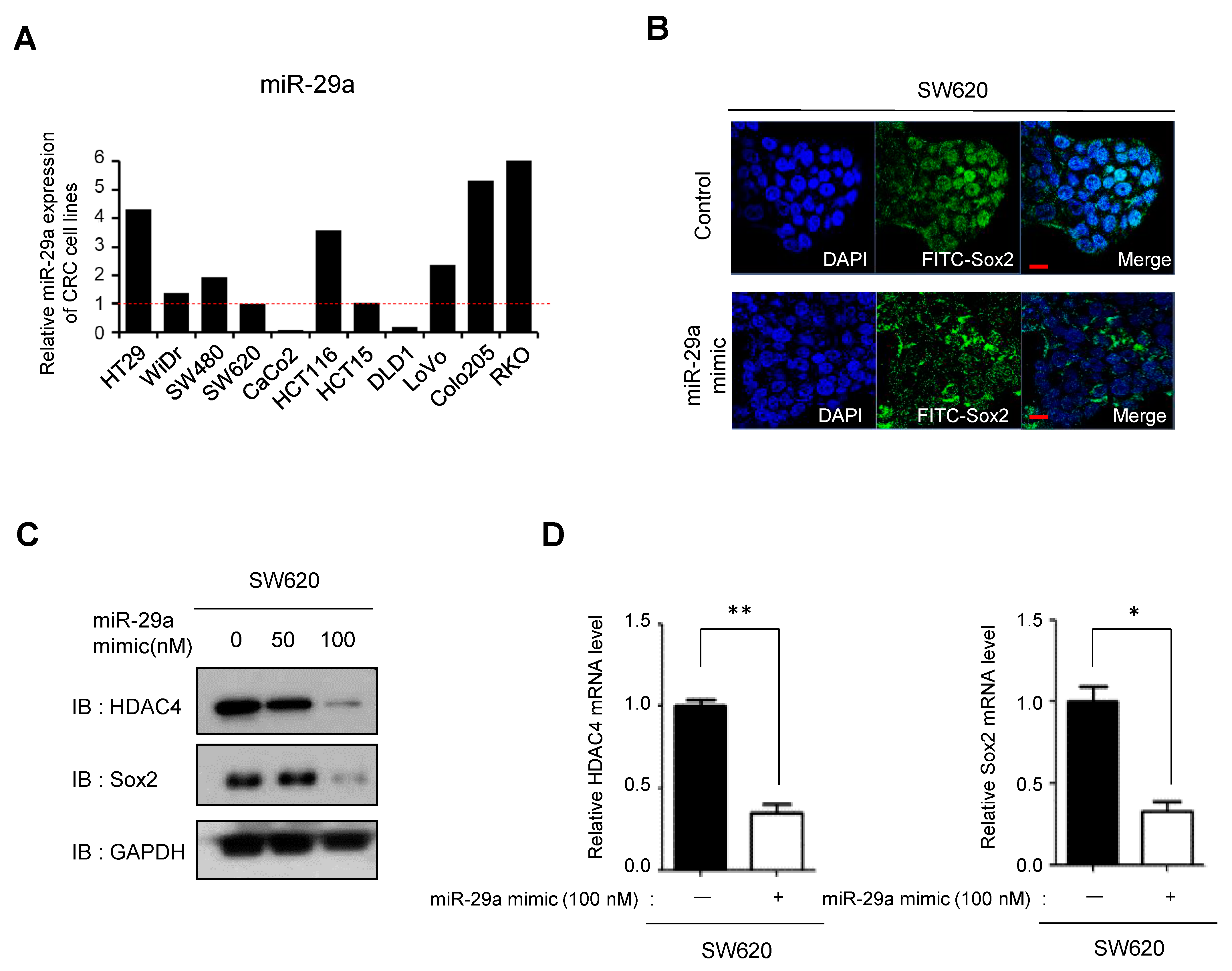Cancers 16 01035 g006