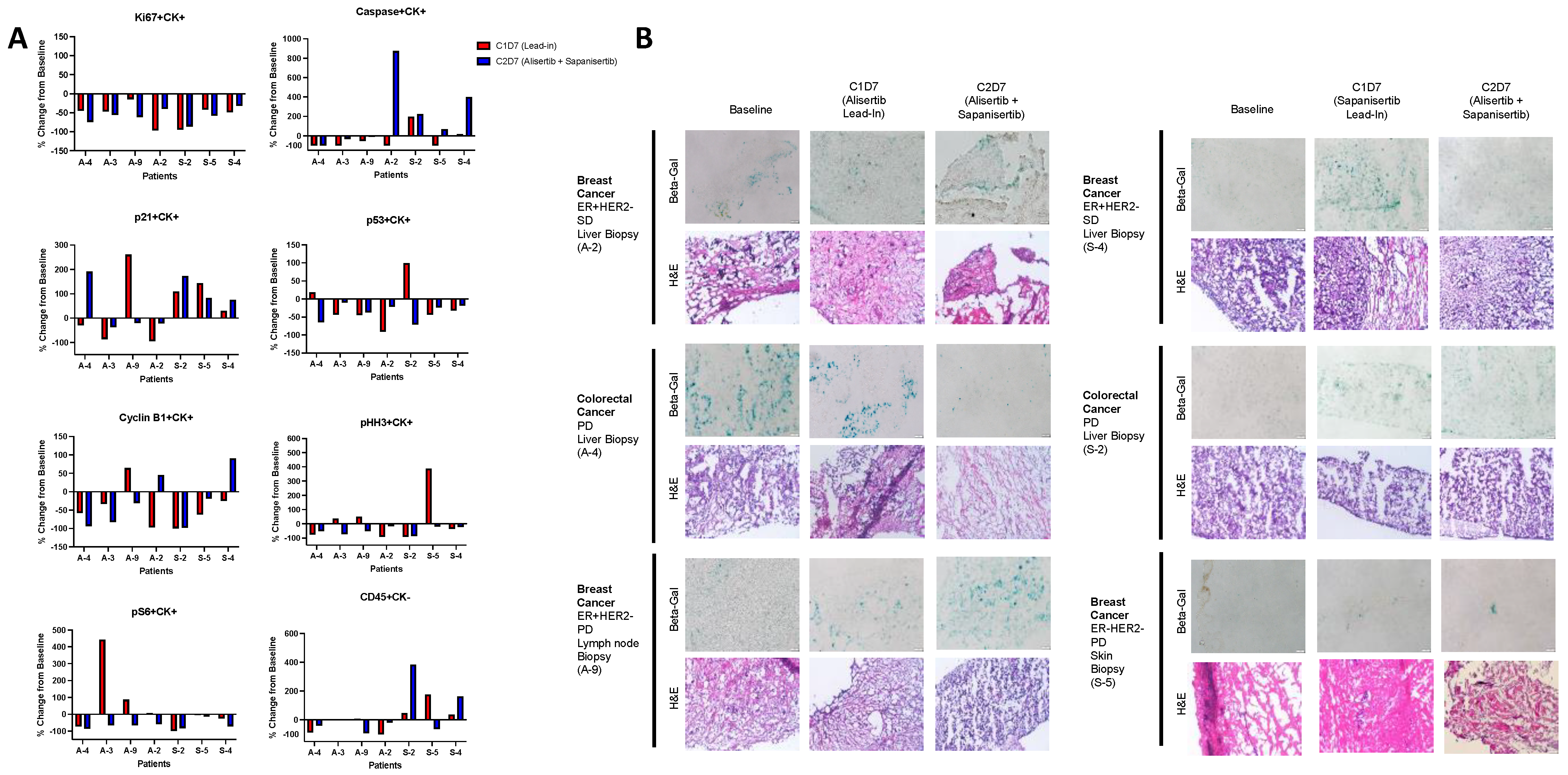 Cancers 16 01456 g004