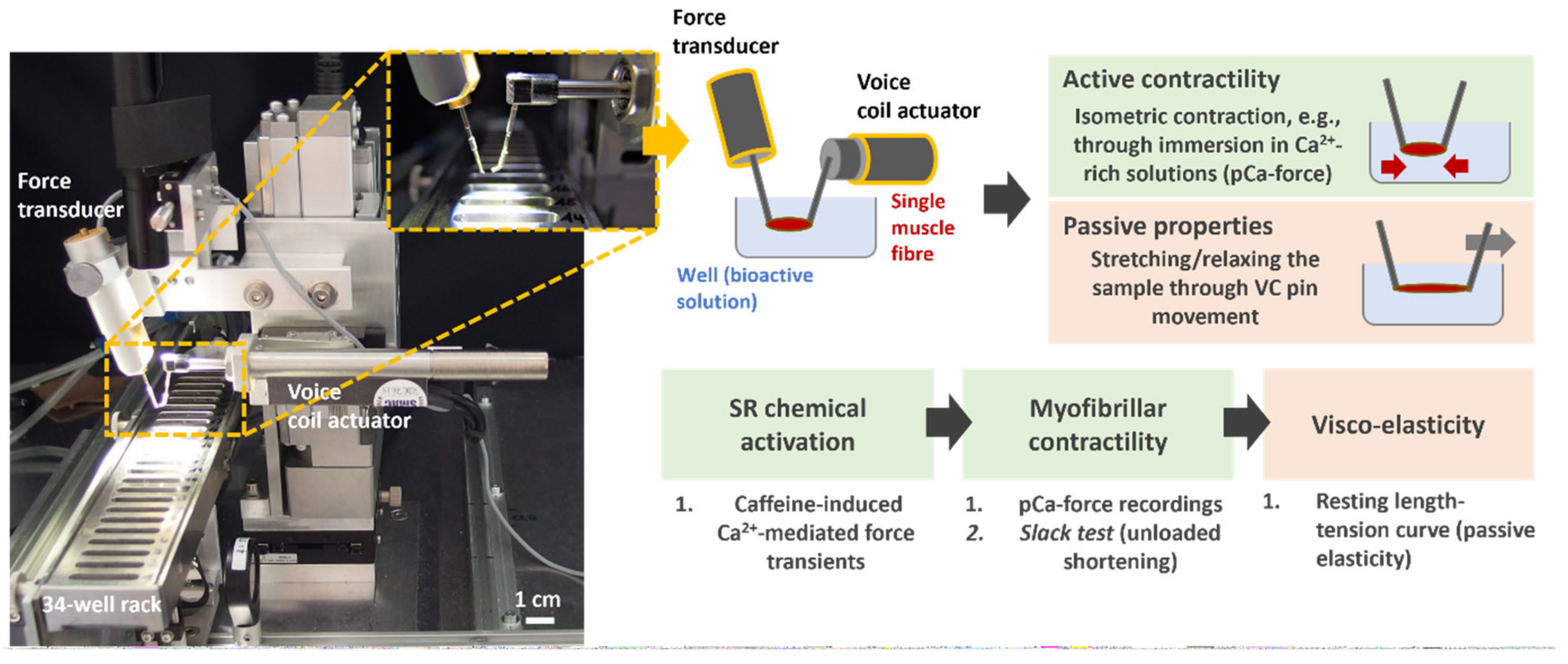 Cancers 16 01608 g001