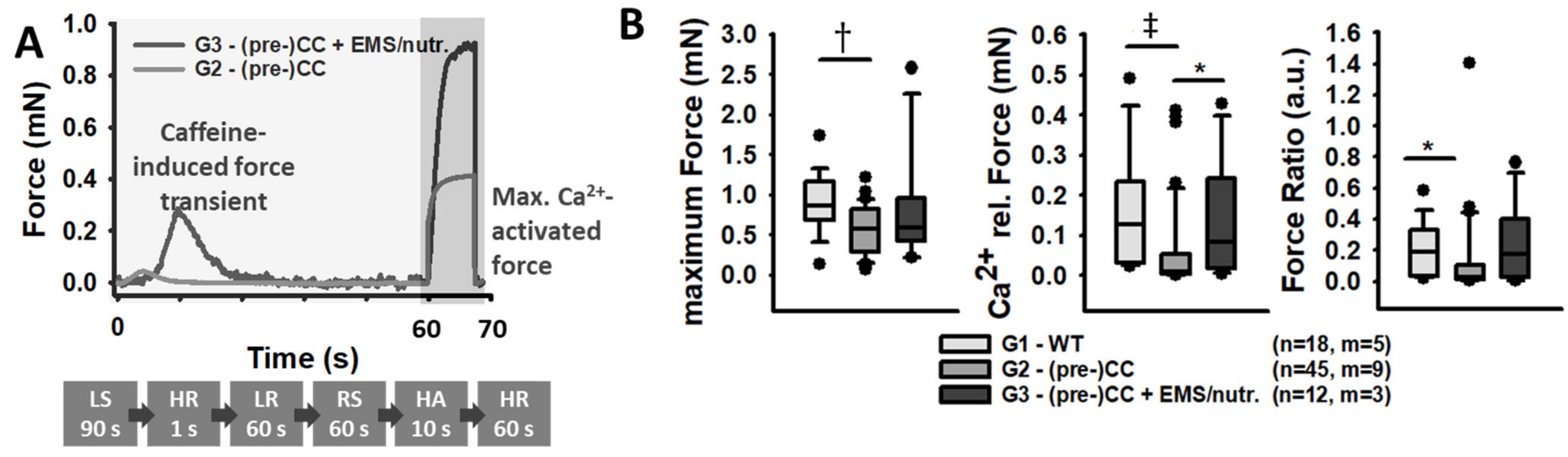 Cancers 16 01608 g003