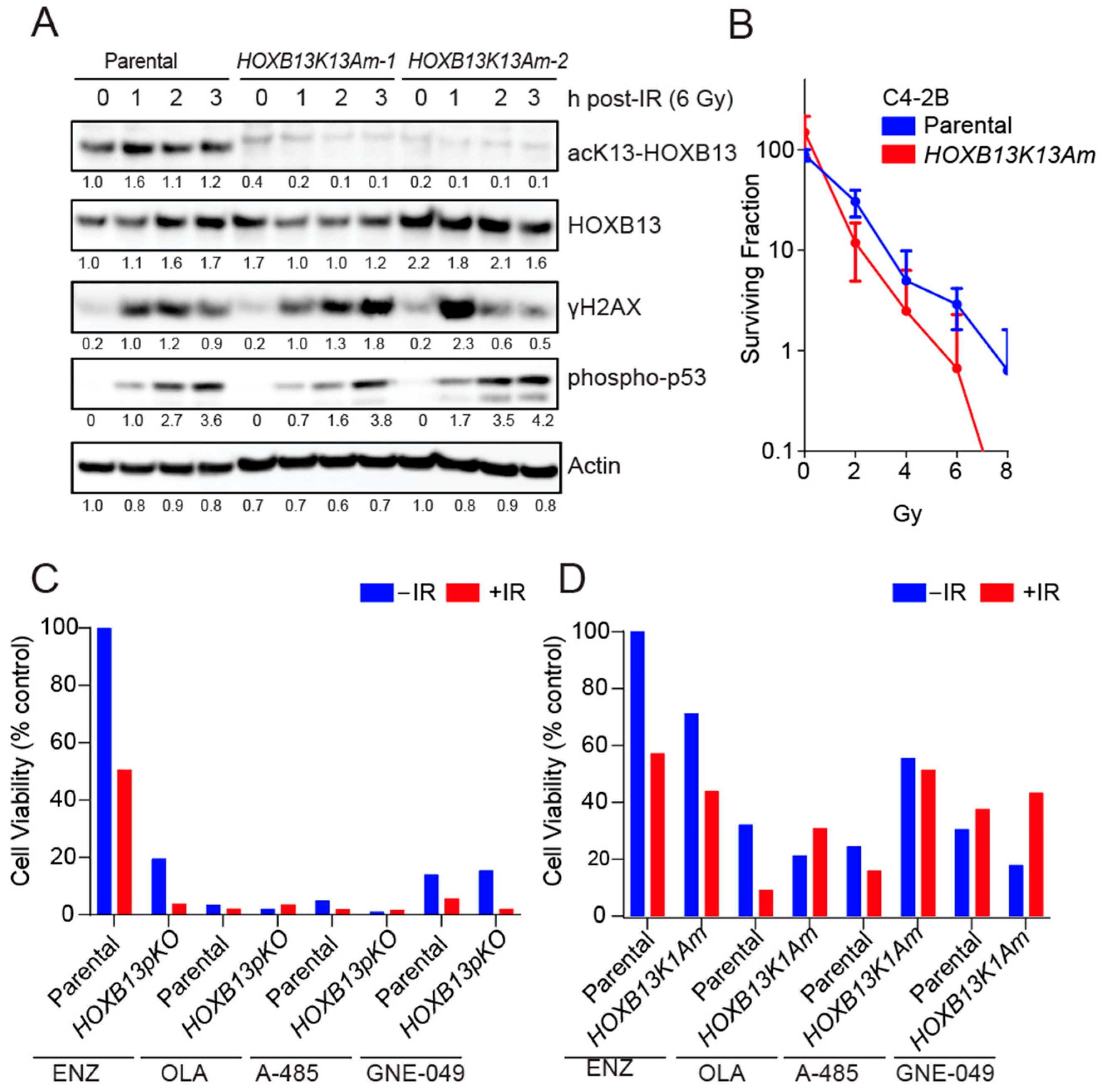 Cancers 16 01622 g002