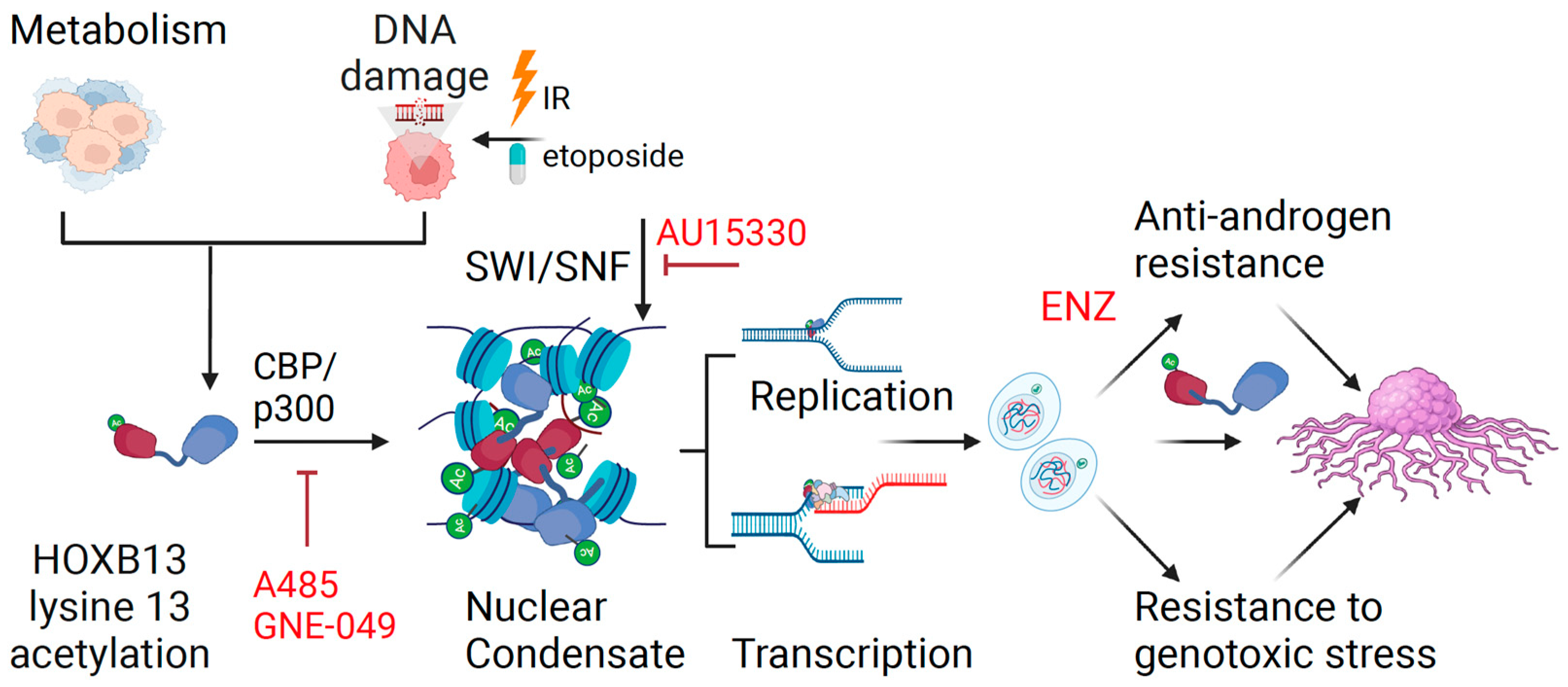 Cancers 16 01622 g006