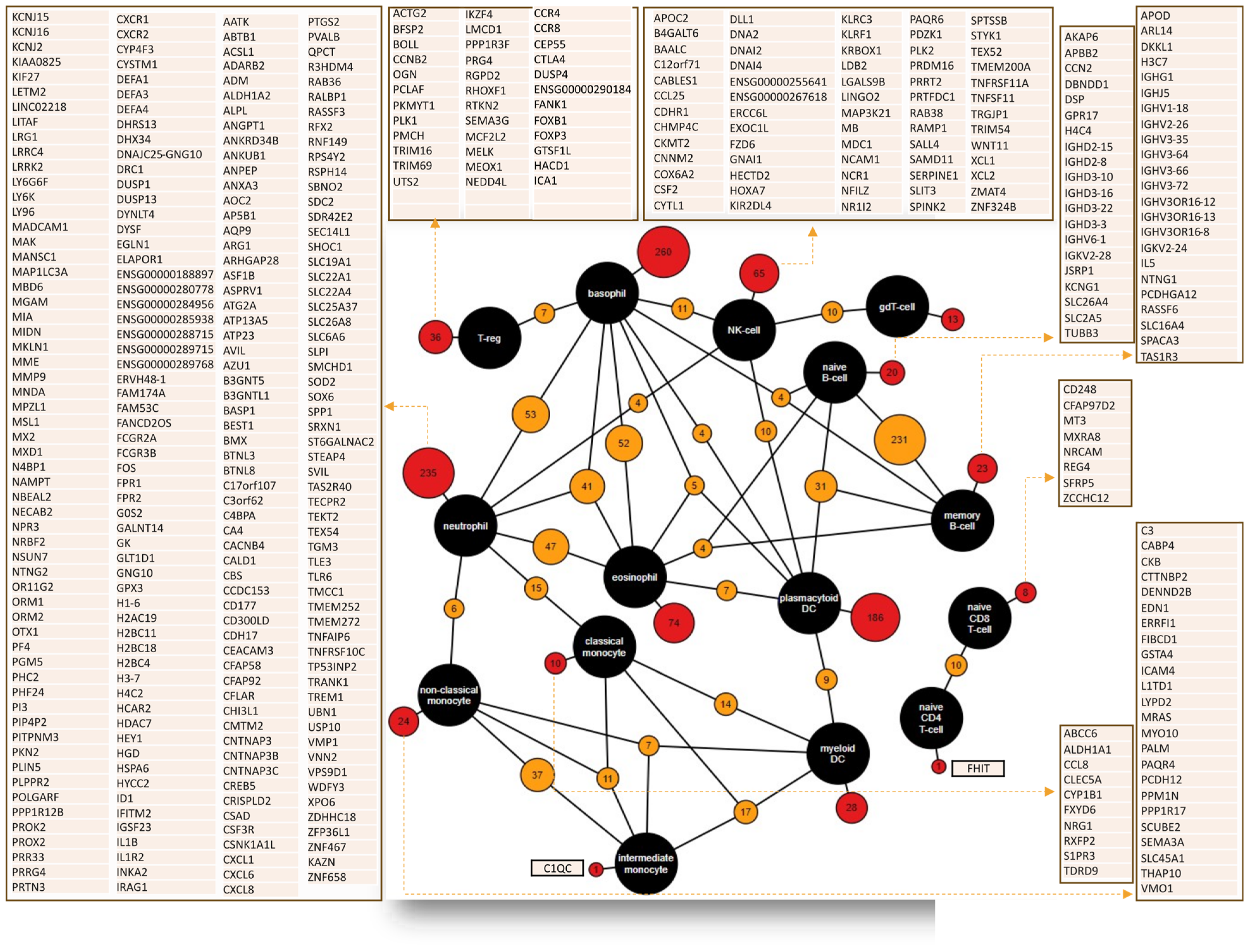 Cancers 16 01626 g006