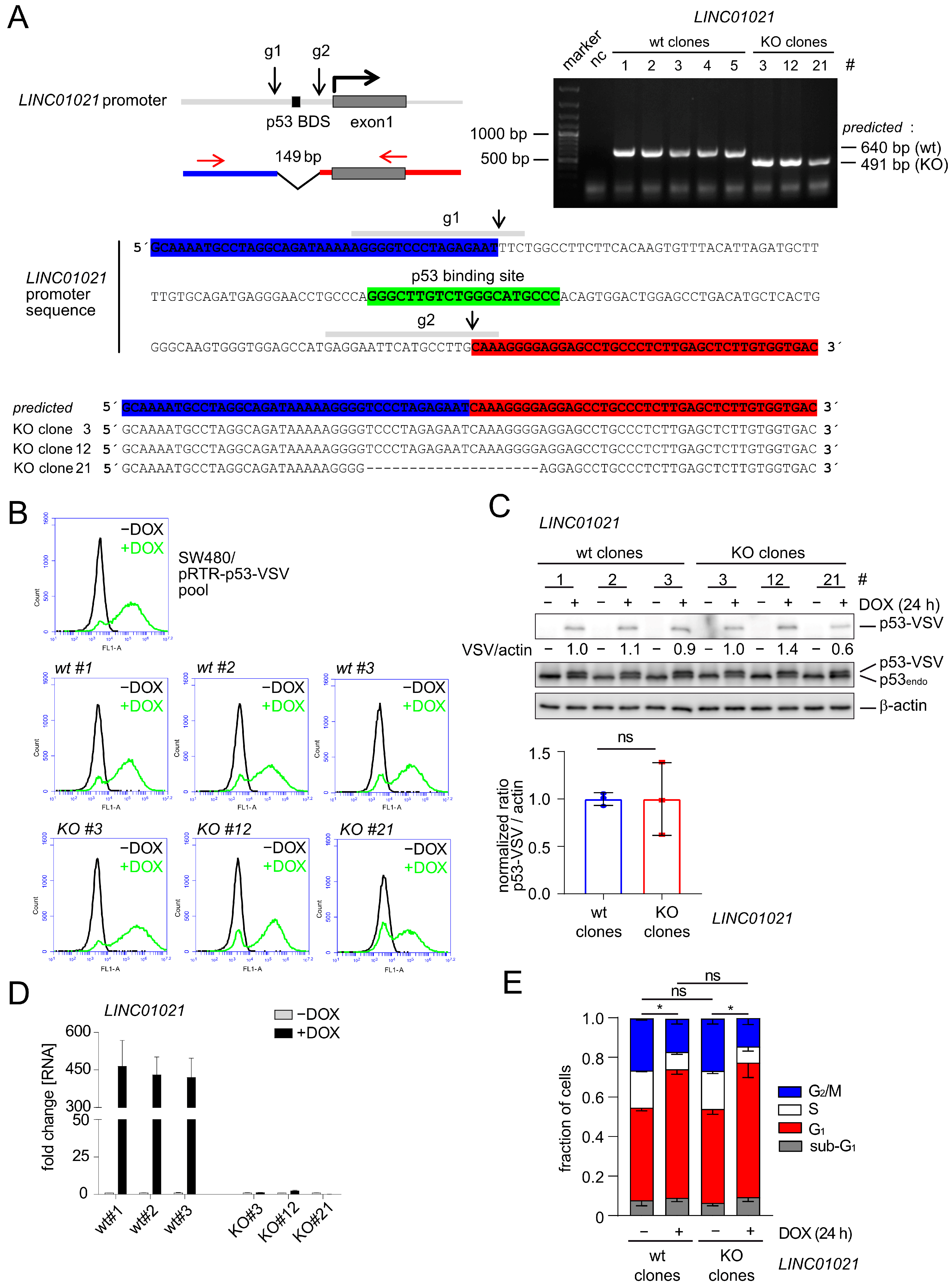 Cancers 16 01639 g001