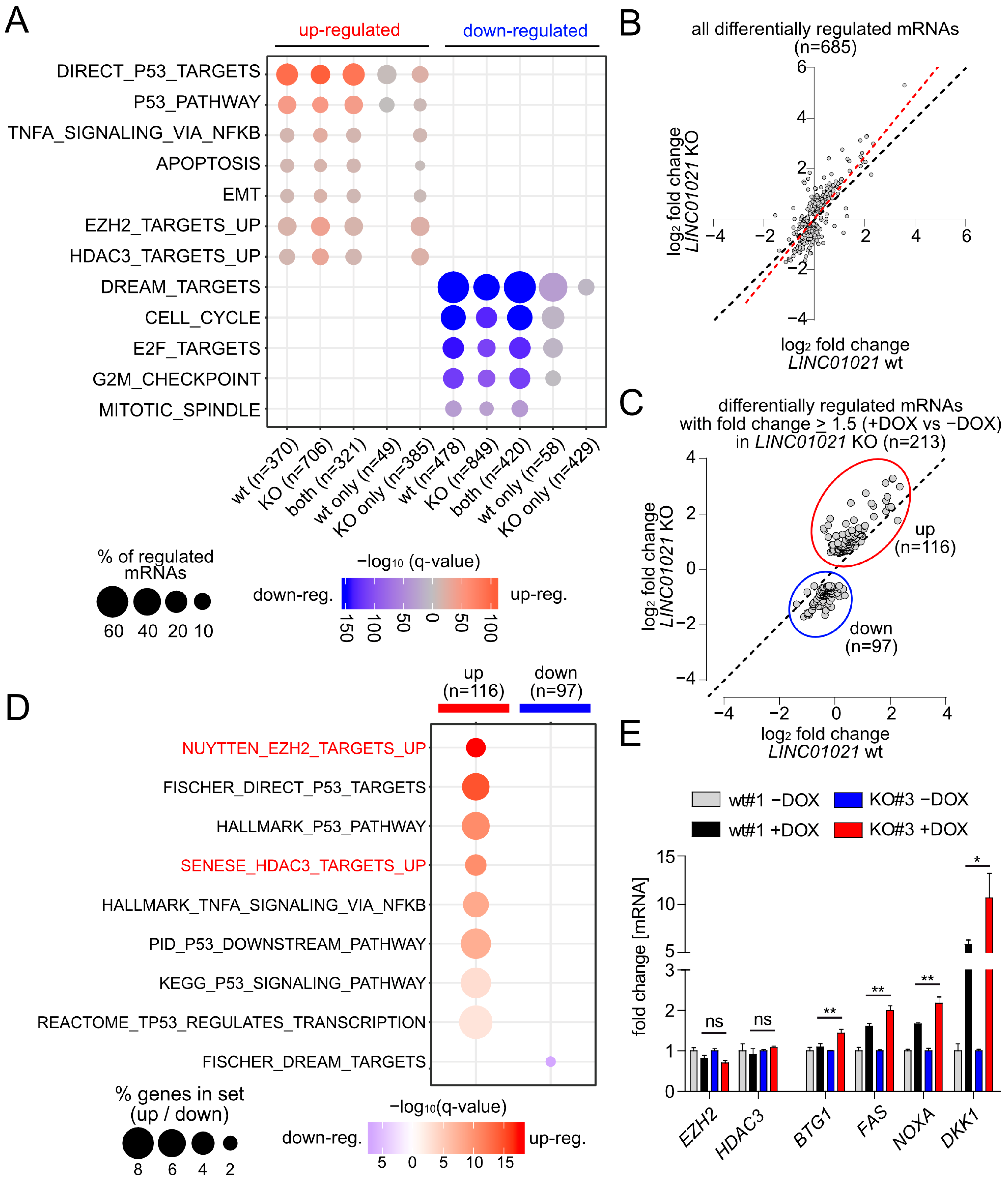 Cancers 16 01639 g003