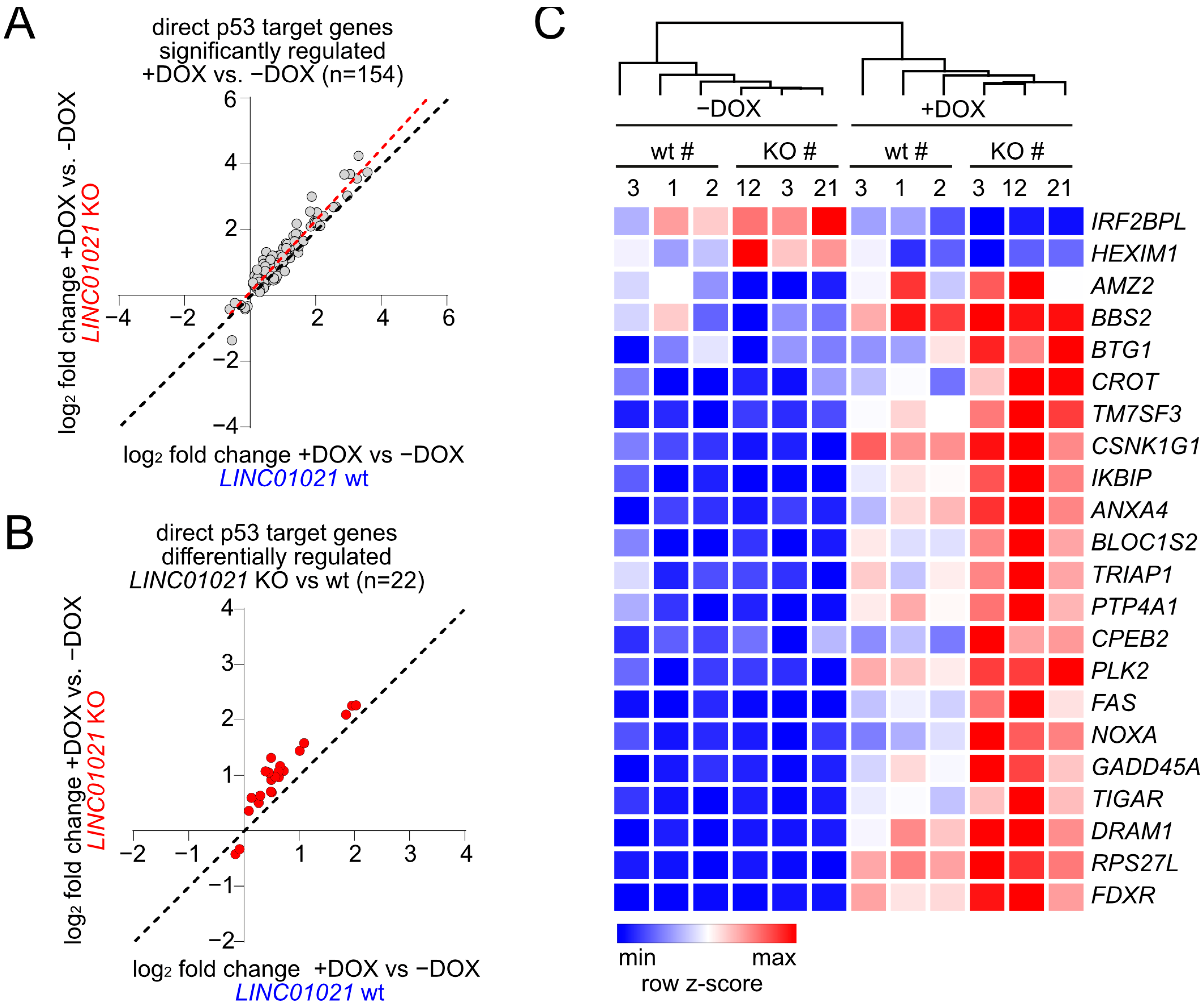 Cancers 16 01639 g004