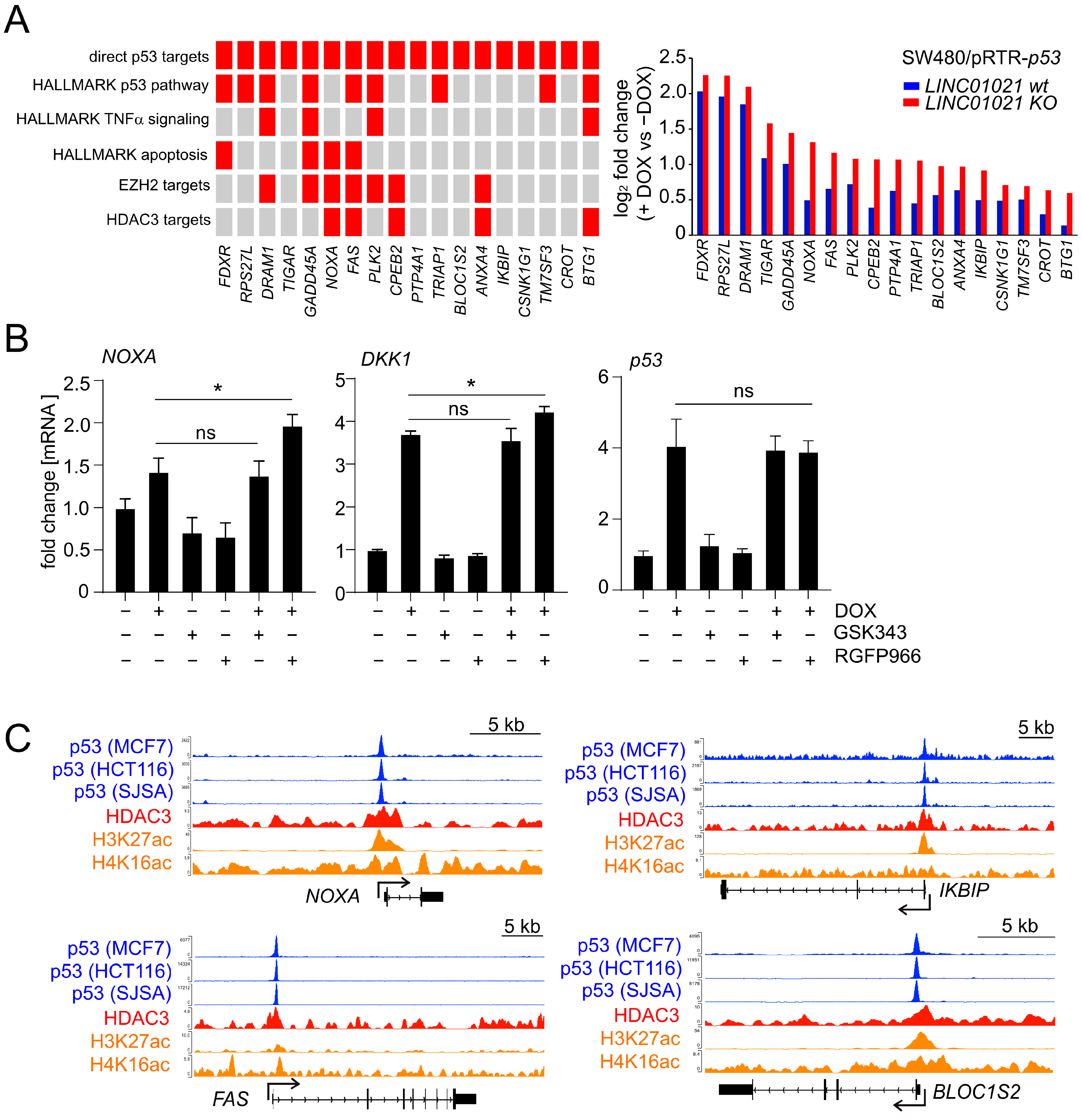 Cancers 16 01639 g005