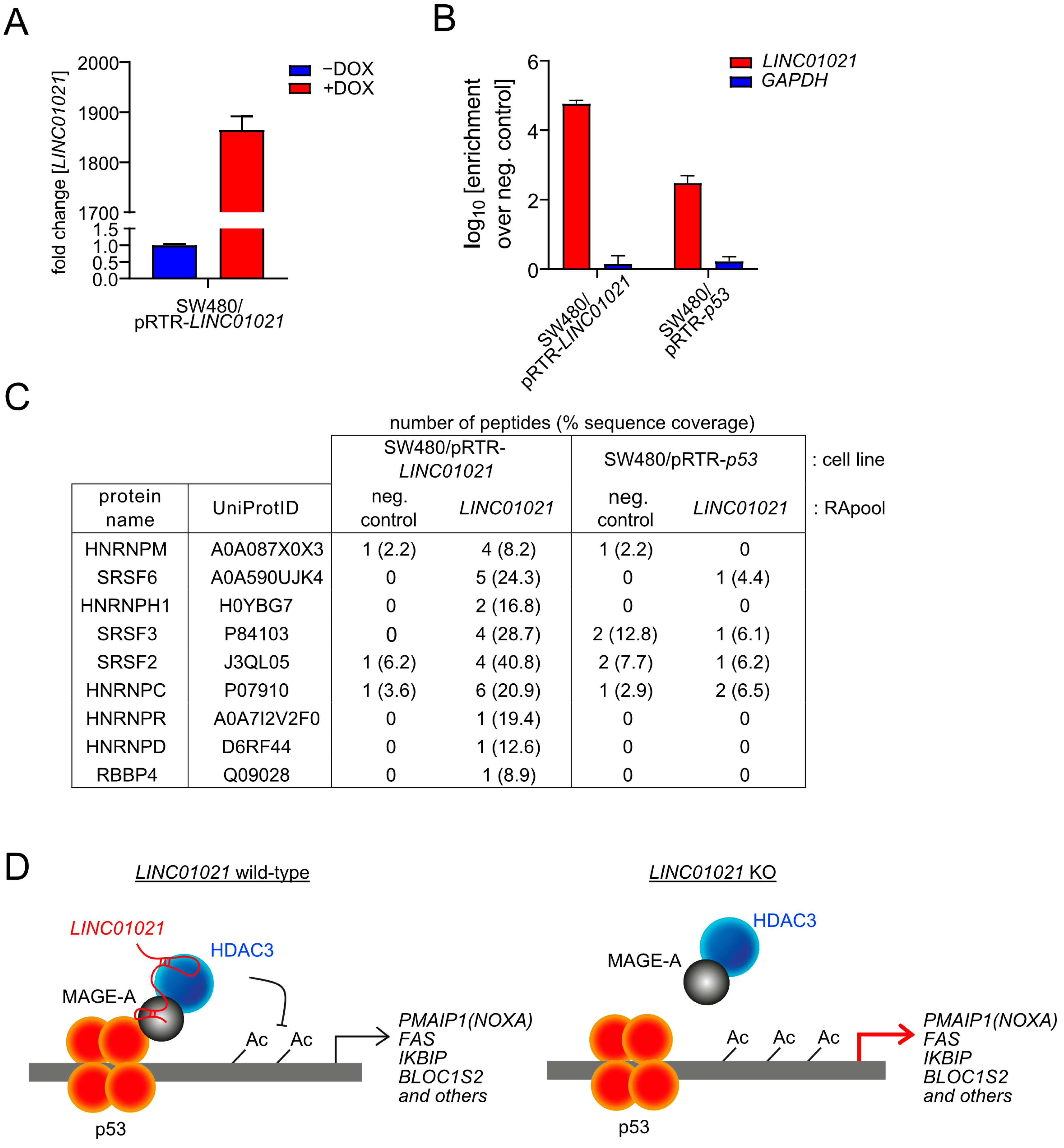 Cancers 16 01639 g007