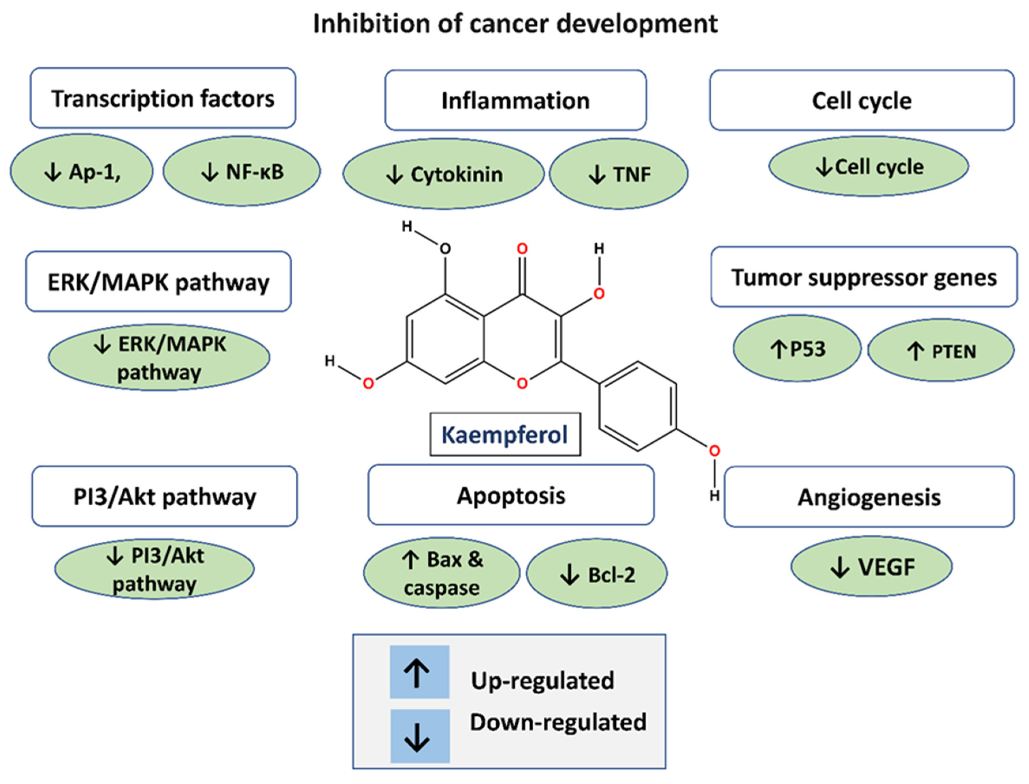 Cancers 16 01711 g002