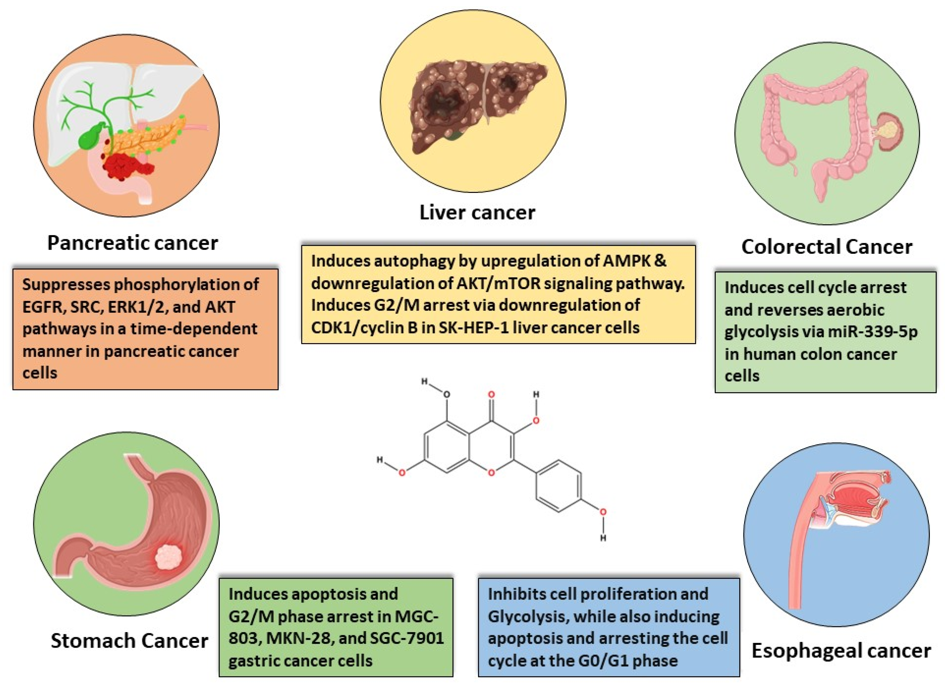 Cancers 16 01711 g003