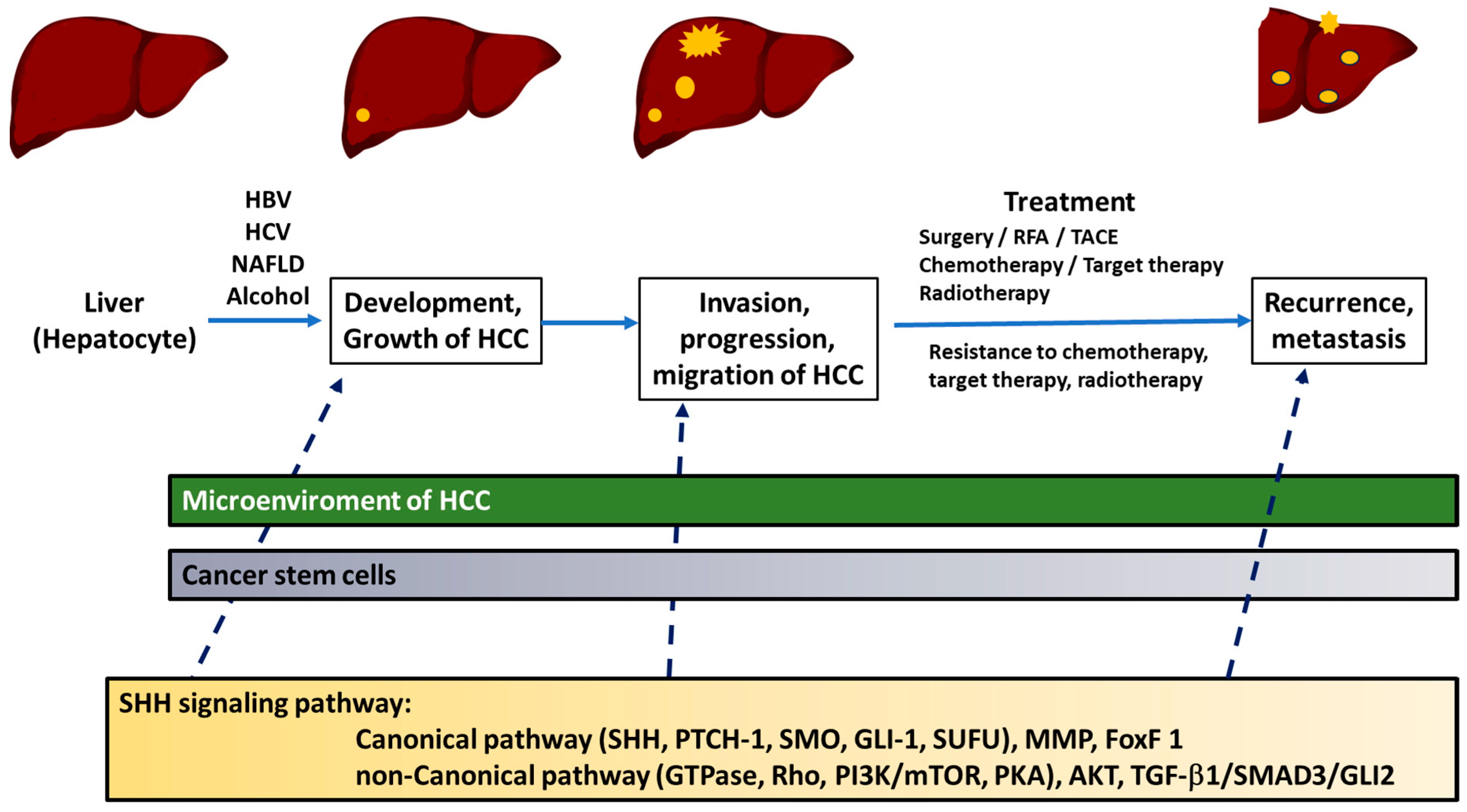 Cancers 16 01739 g003