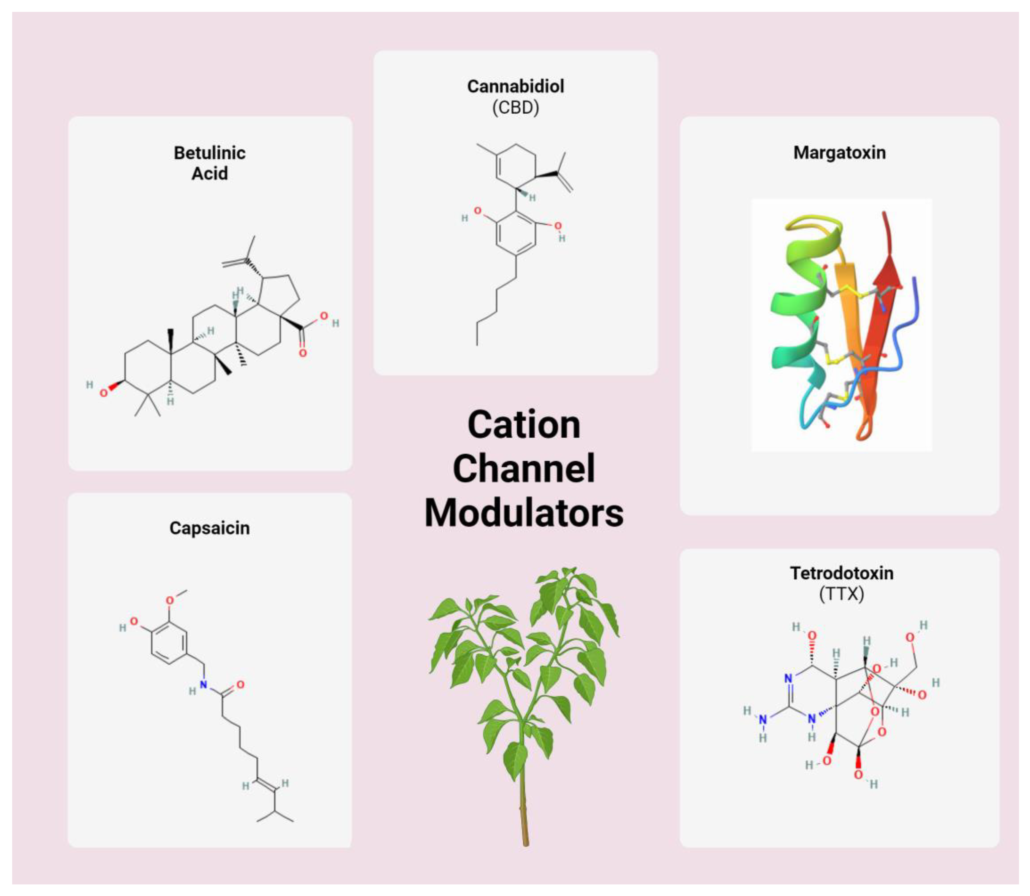 Cancers 16 01786 g002