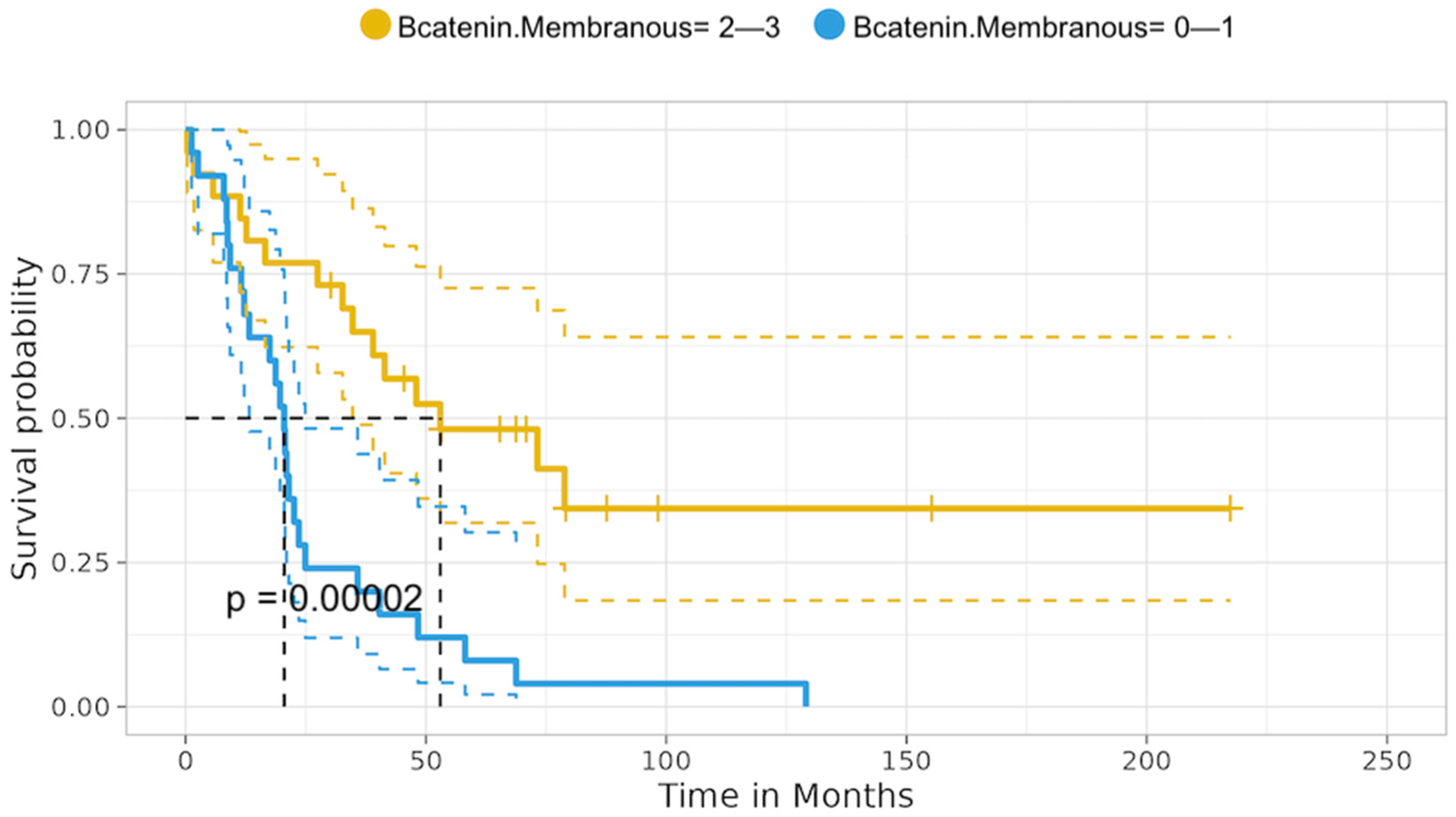 Cancers 16 01818 g009