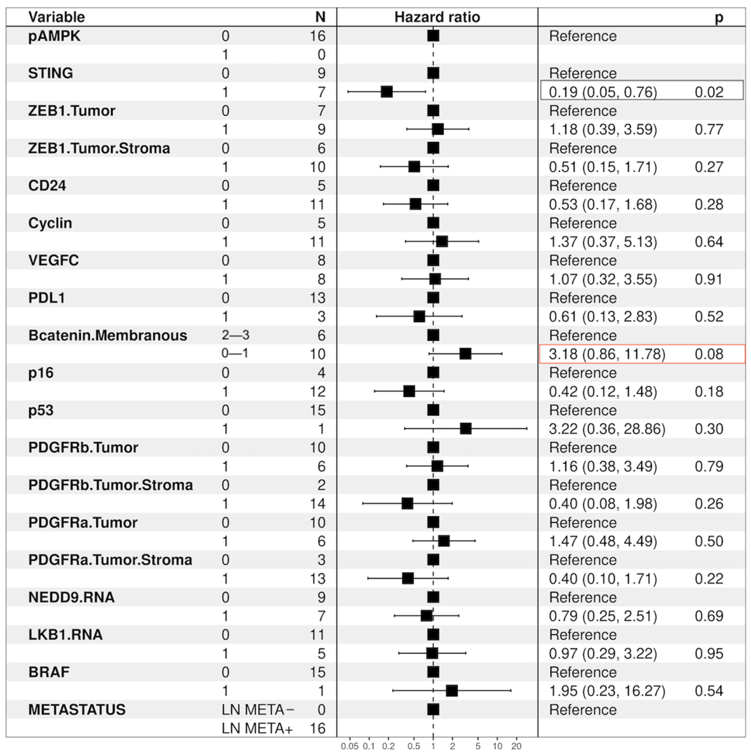 Cancers 16 01818 g012