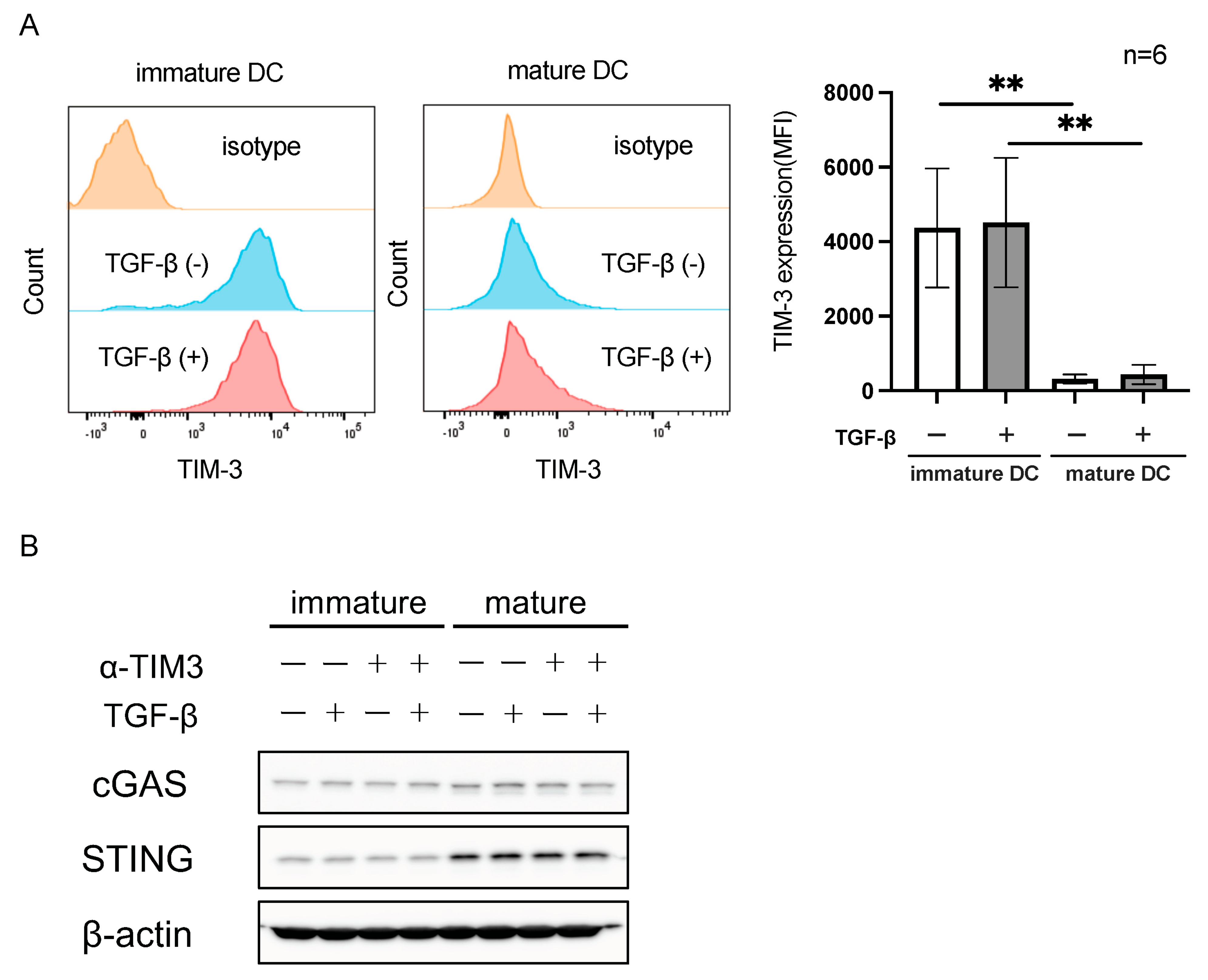 Cancers 16 01888 g004