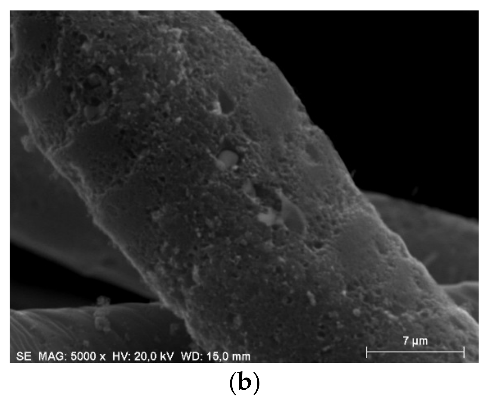 Carbon 04 00024 g003b